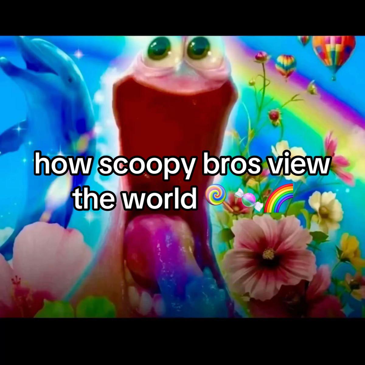 @alho0e