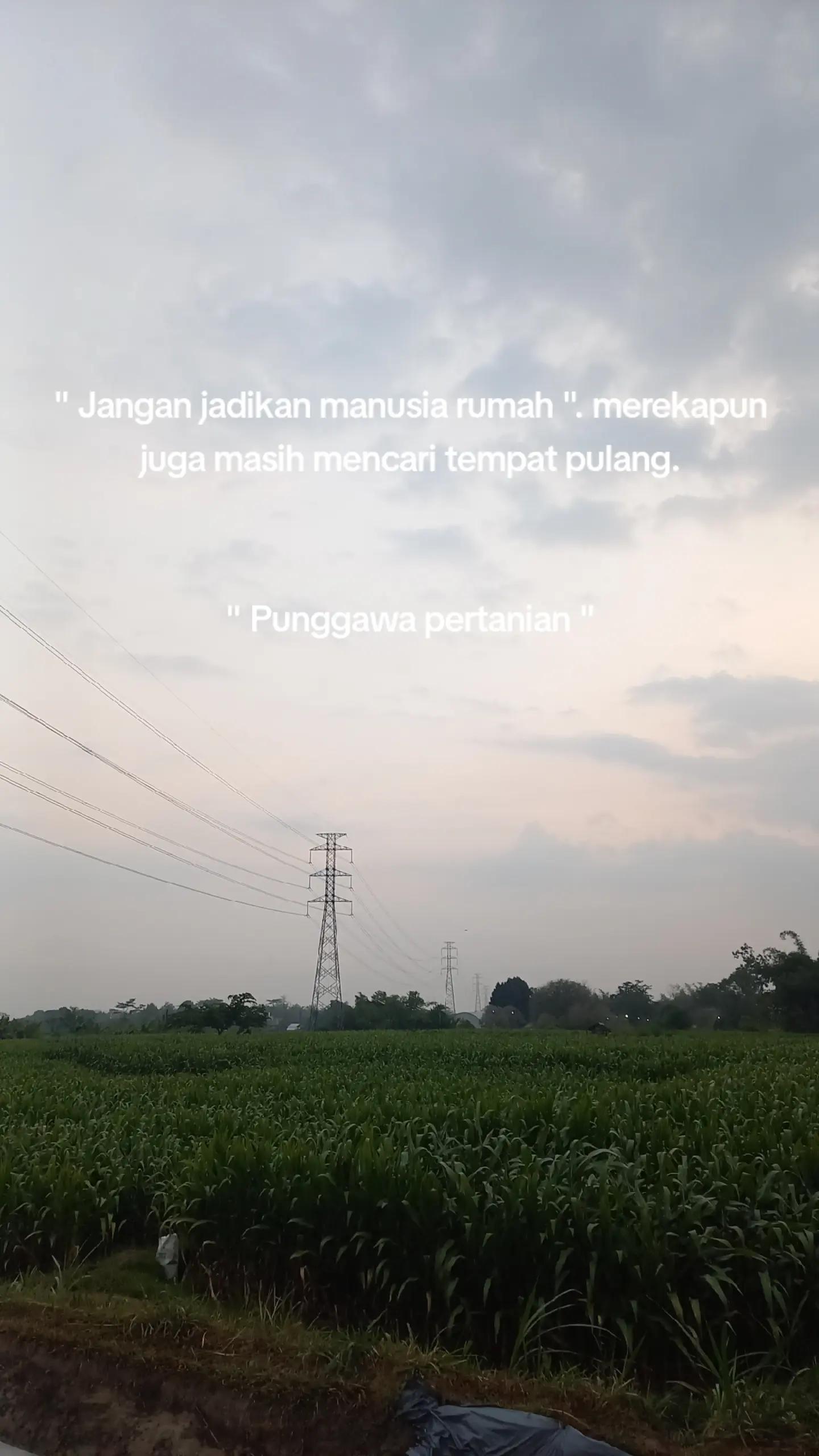 @MULYO JOYO FARM