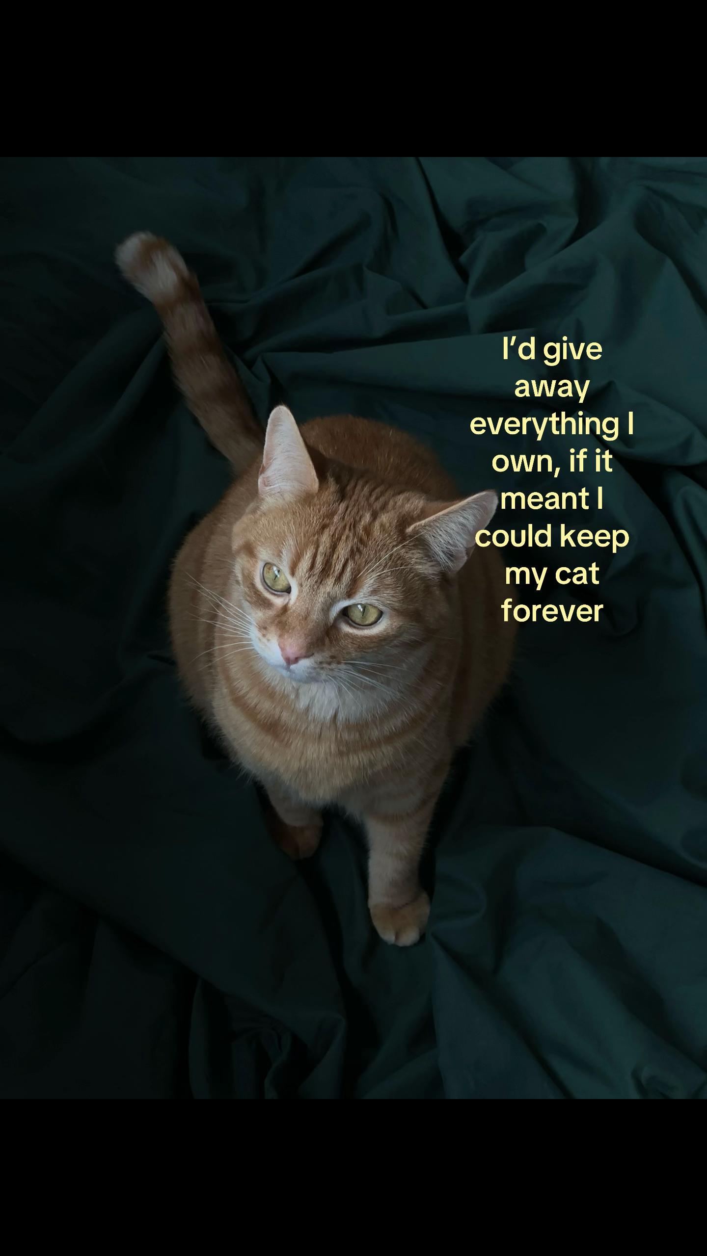 @𝒜𝓃𝒶𝓈𝓉𝒶𝓈𝒾𝒿𝒶