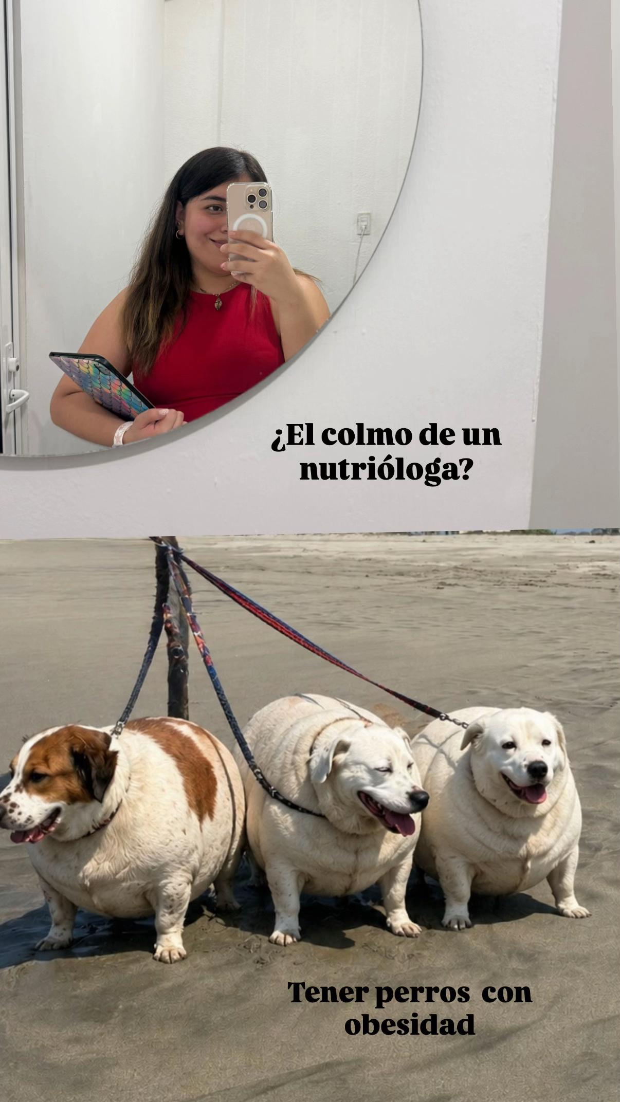 @Nutrigss