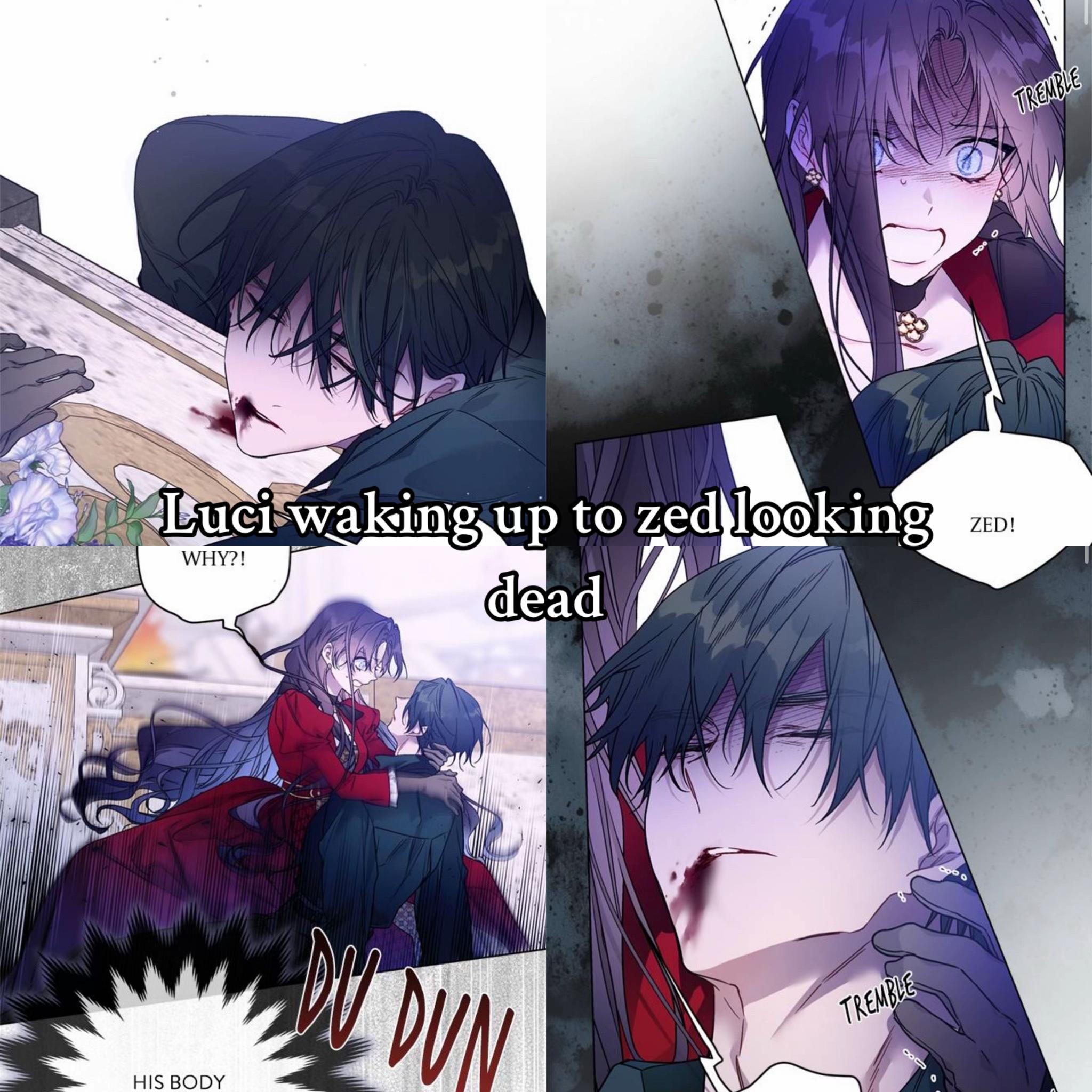 @๐๐ช๐ต๐ช๐ฑ