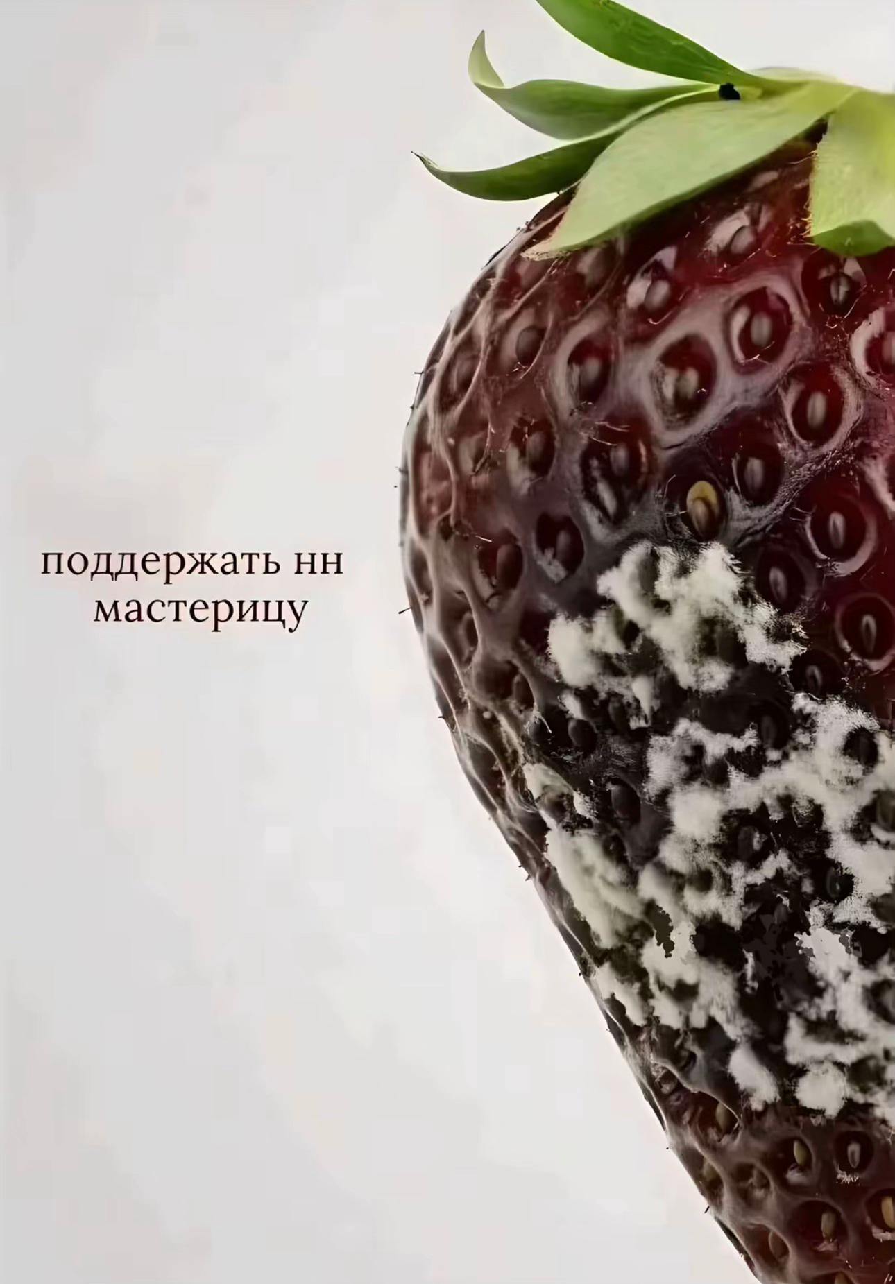 @змейка