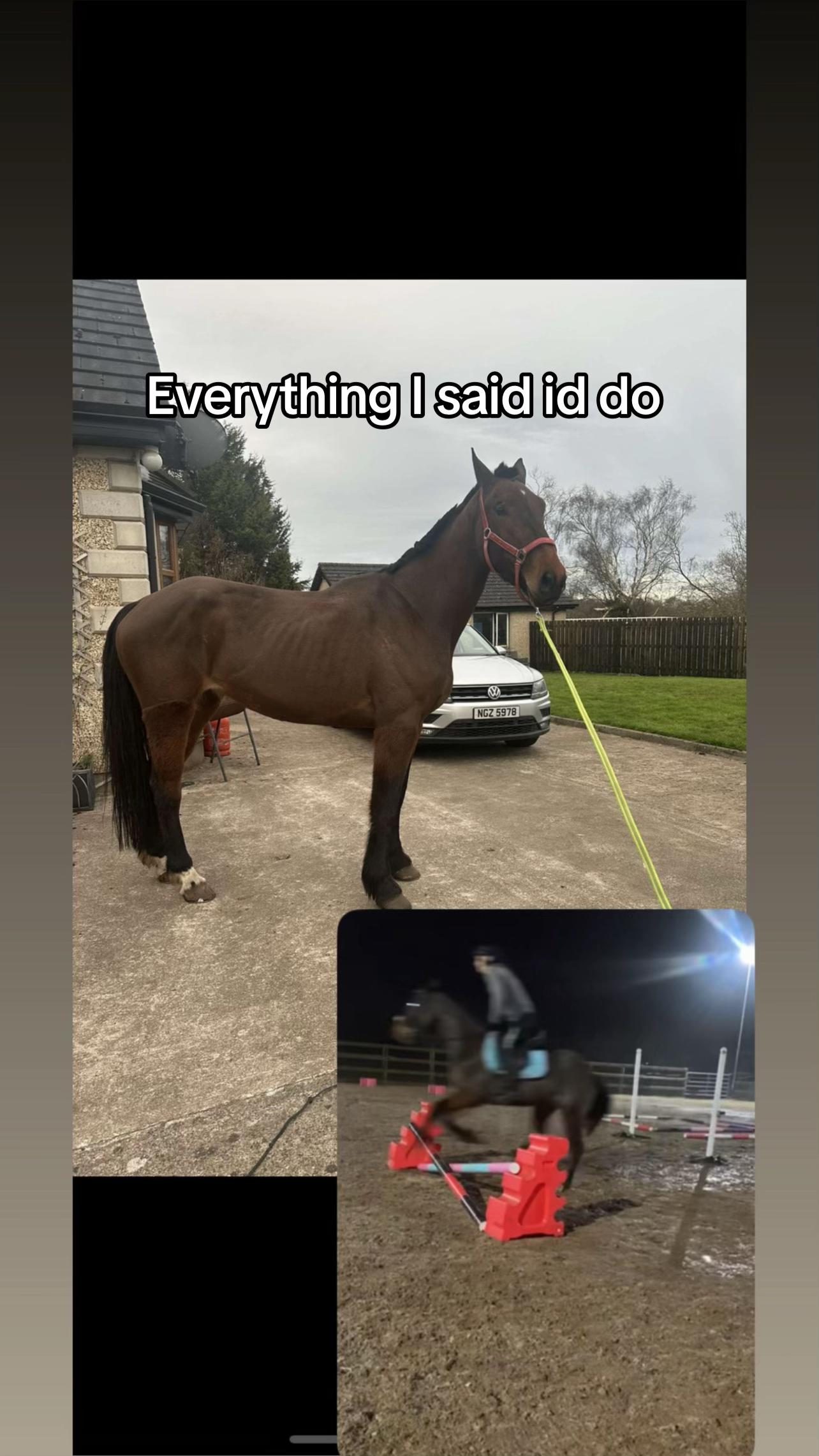 @Dara Conlon 🇮🇪