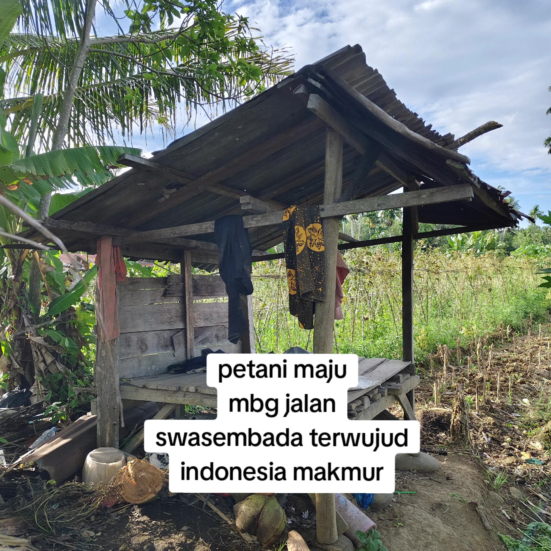 @petani kecil ujung tapsel