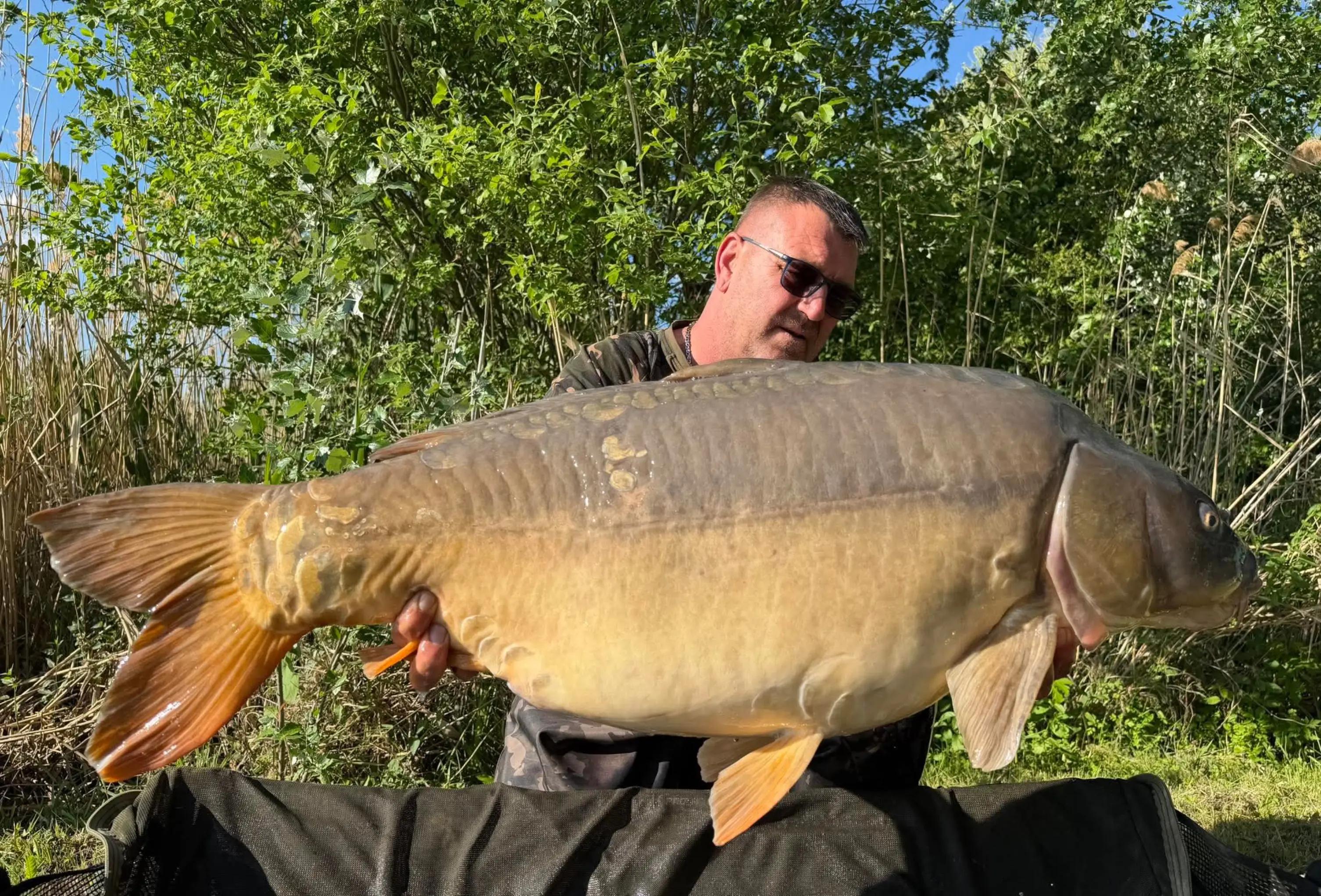 @Bait Bait Germany
