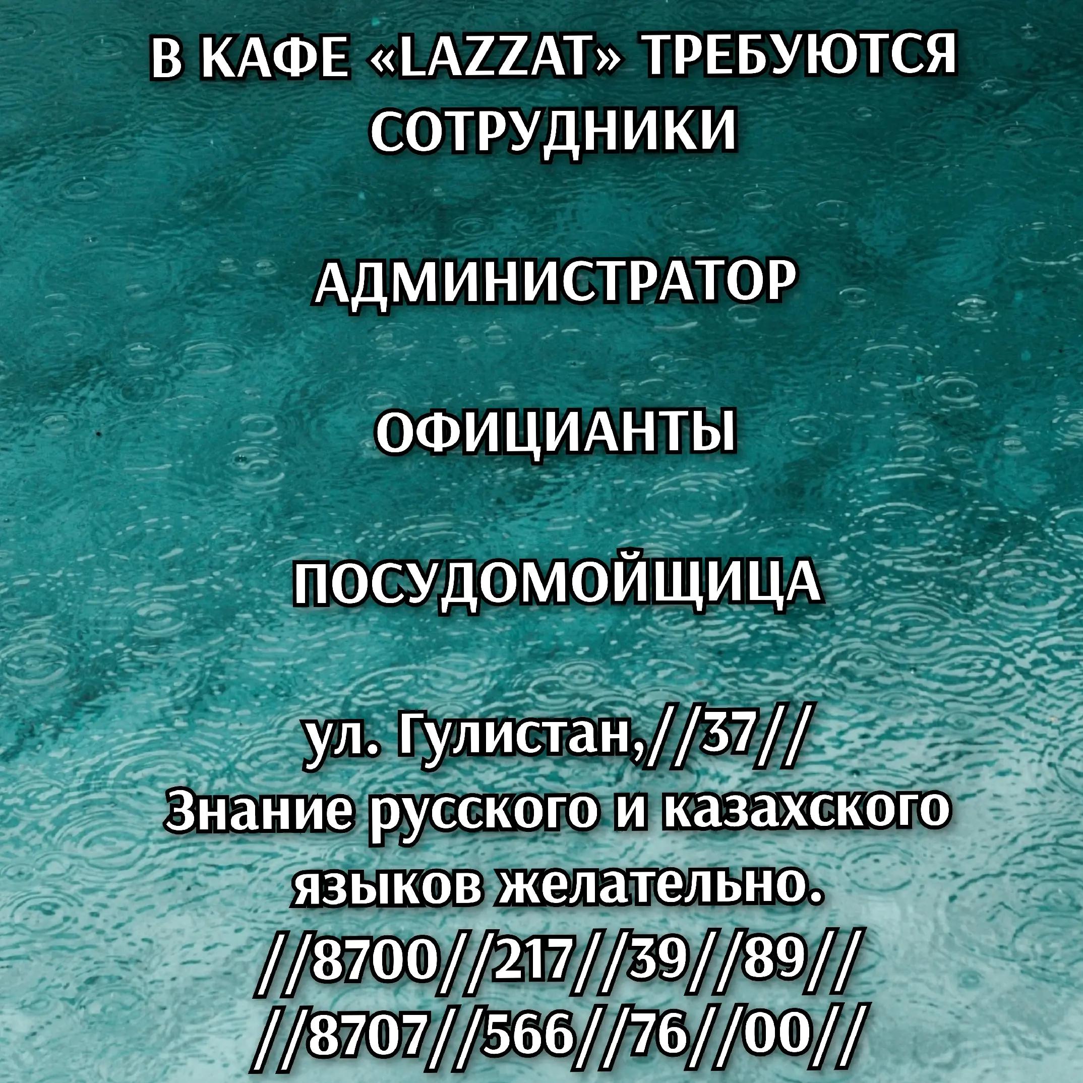 @Shymkent_the_vacancy