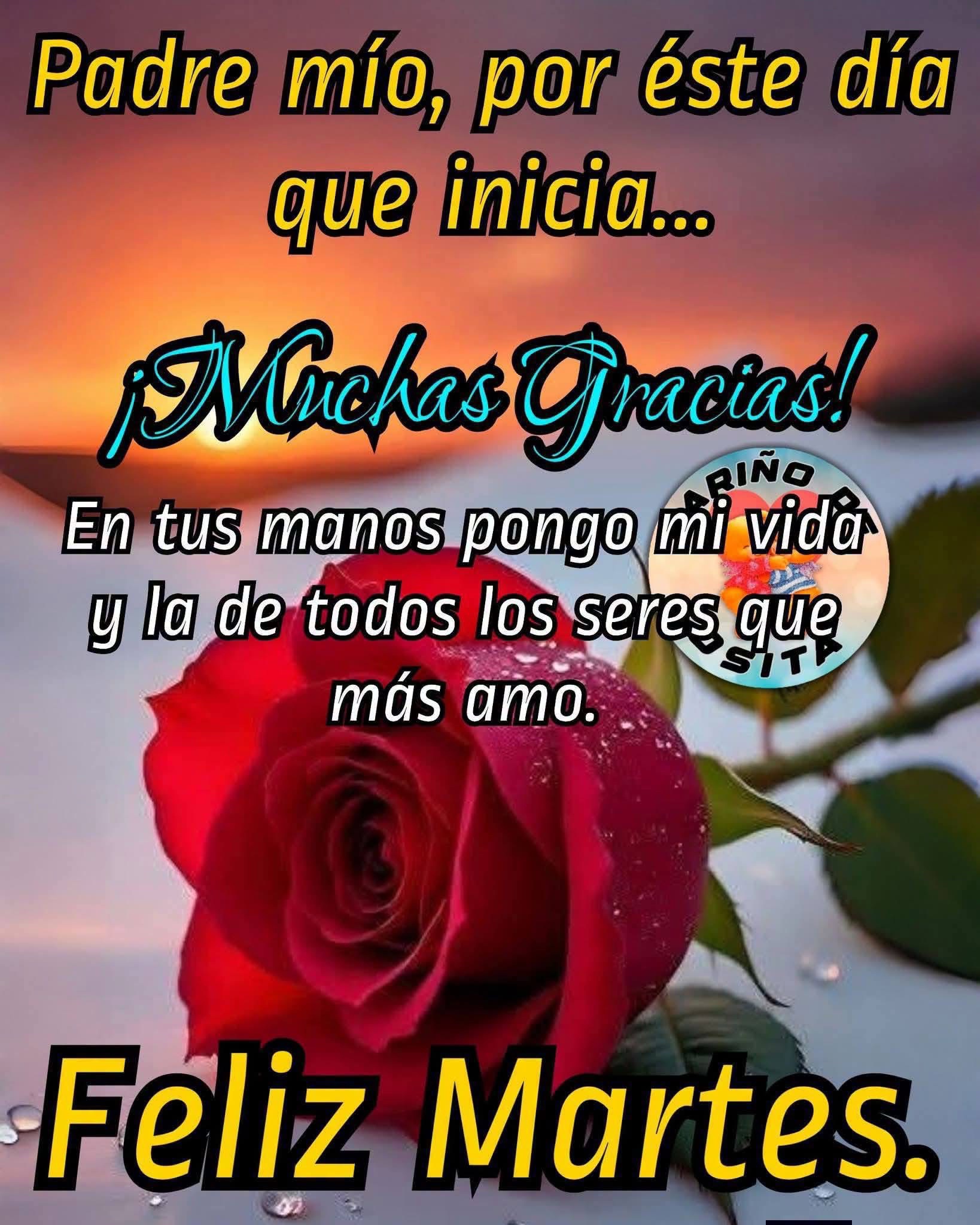 @elvirasvg