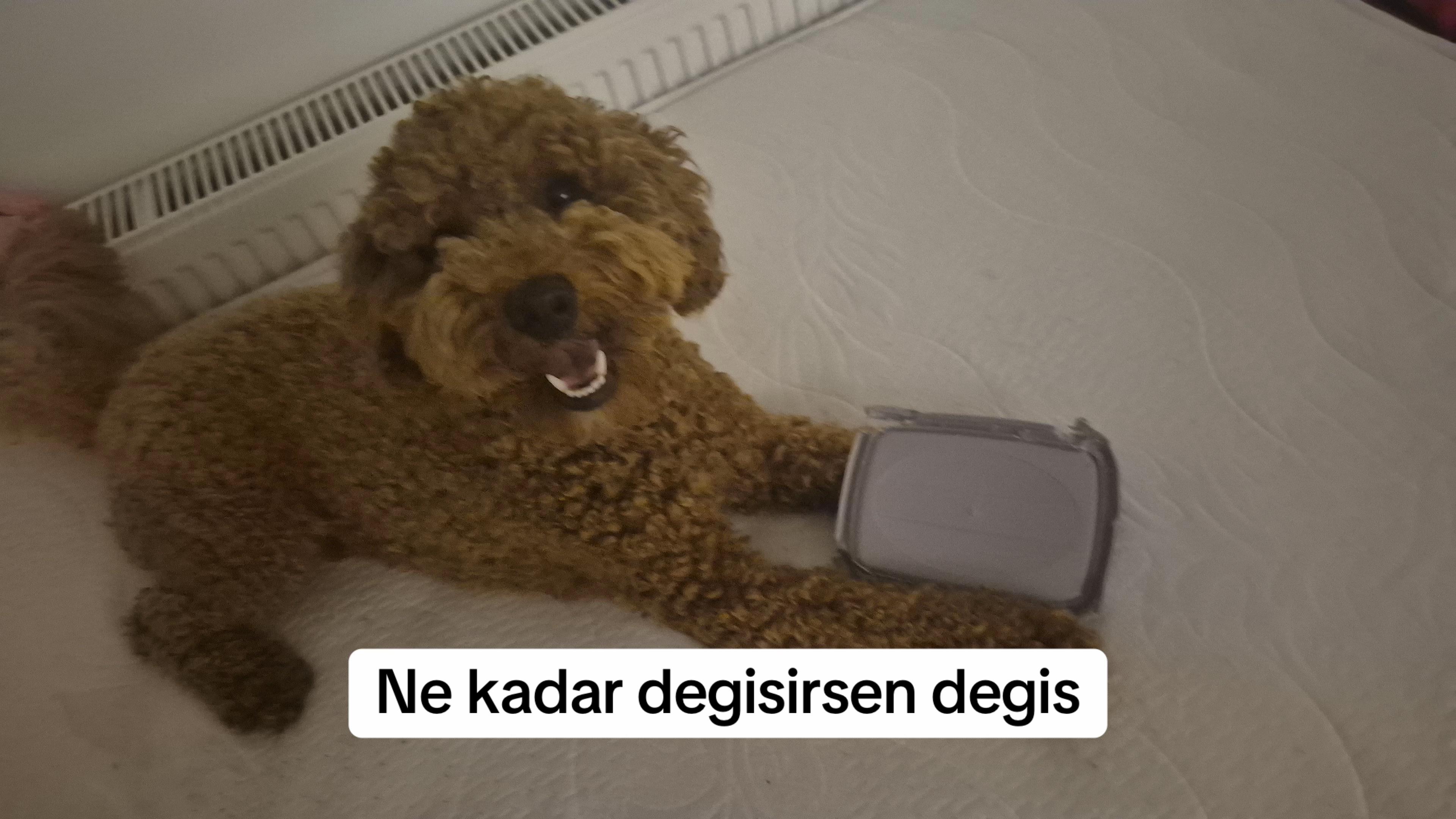 @Deniz
