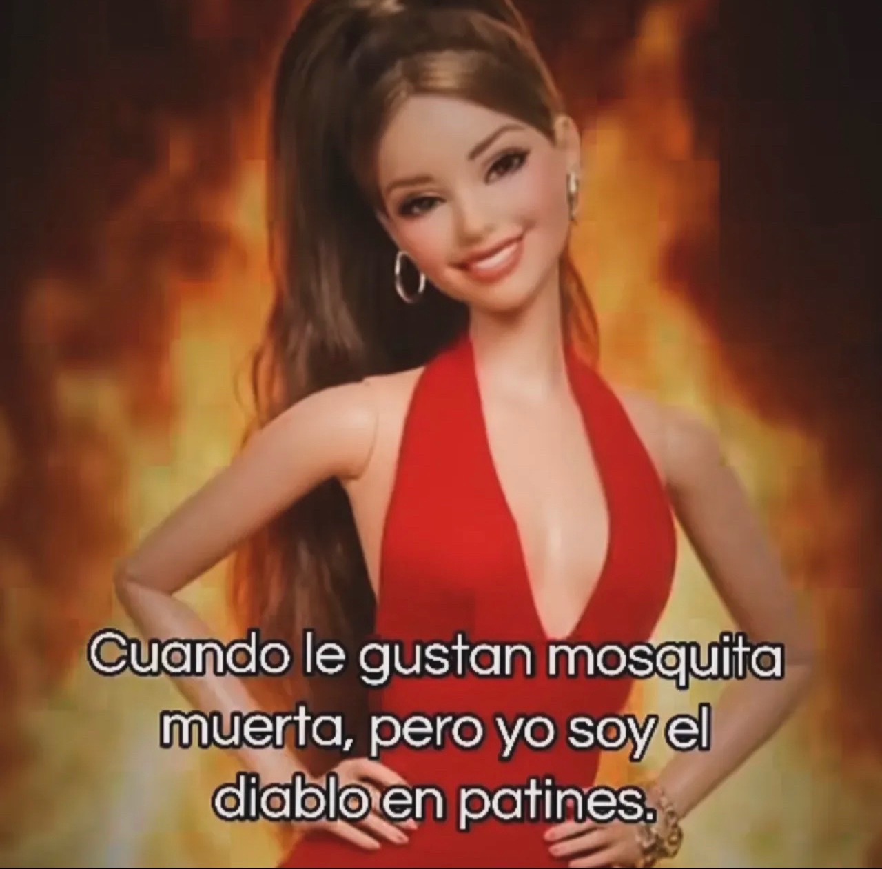 @Barbie Viajera