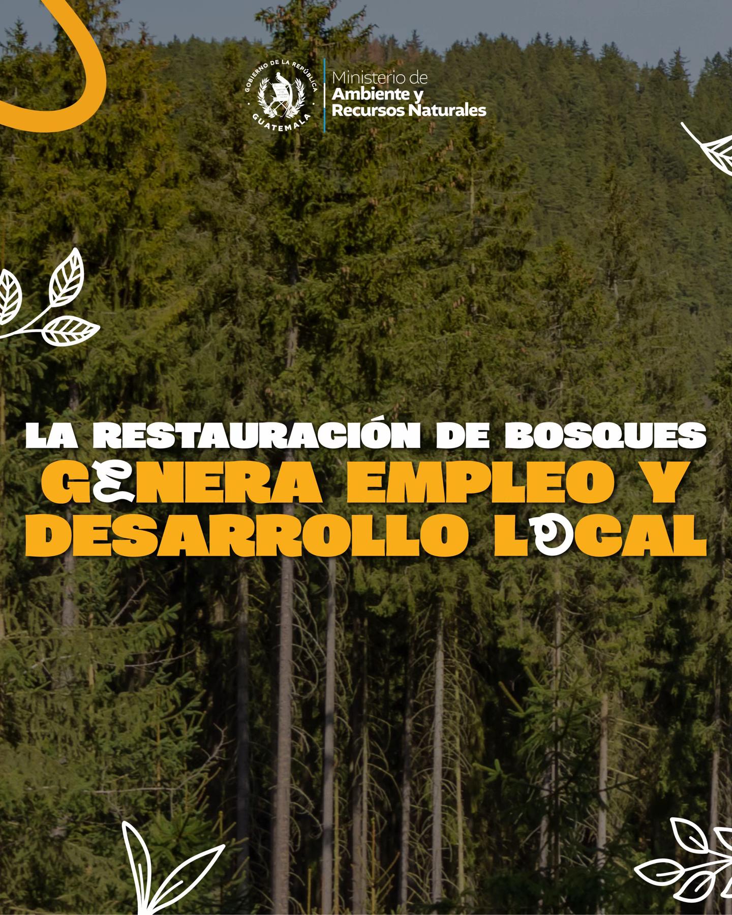 @Ministerio de Ambiente GT