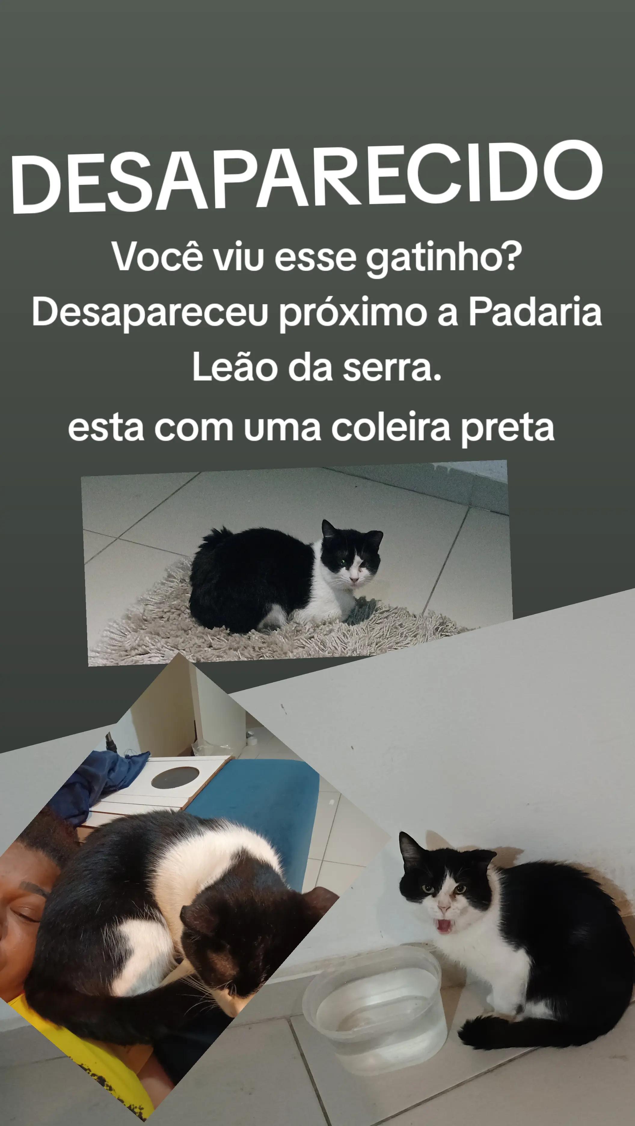 @Valeria Urguim