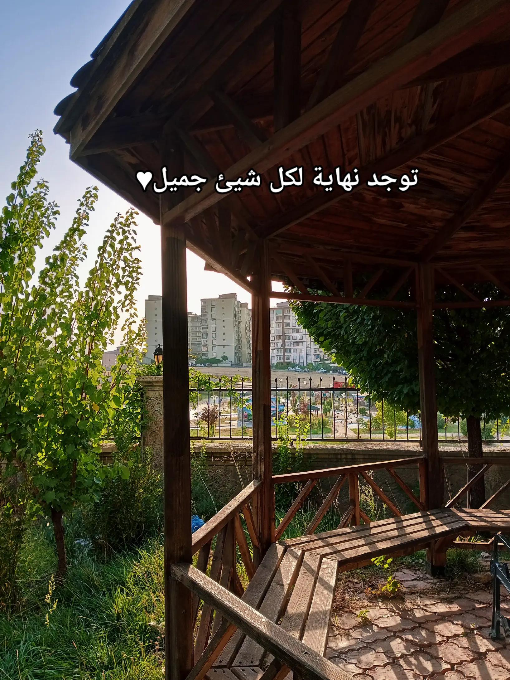 @🇹🇷🕊بنت الموصل 👑🇮🇶