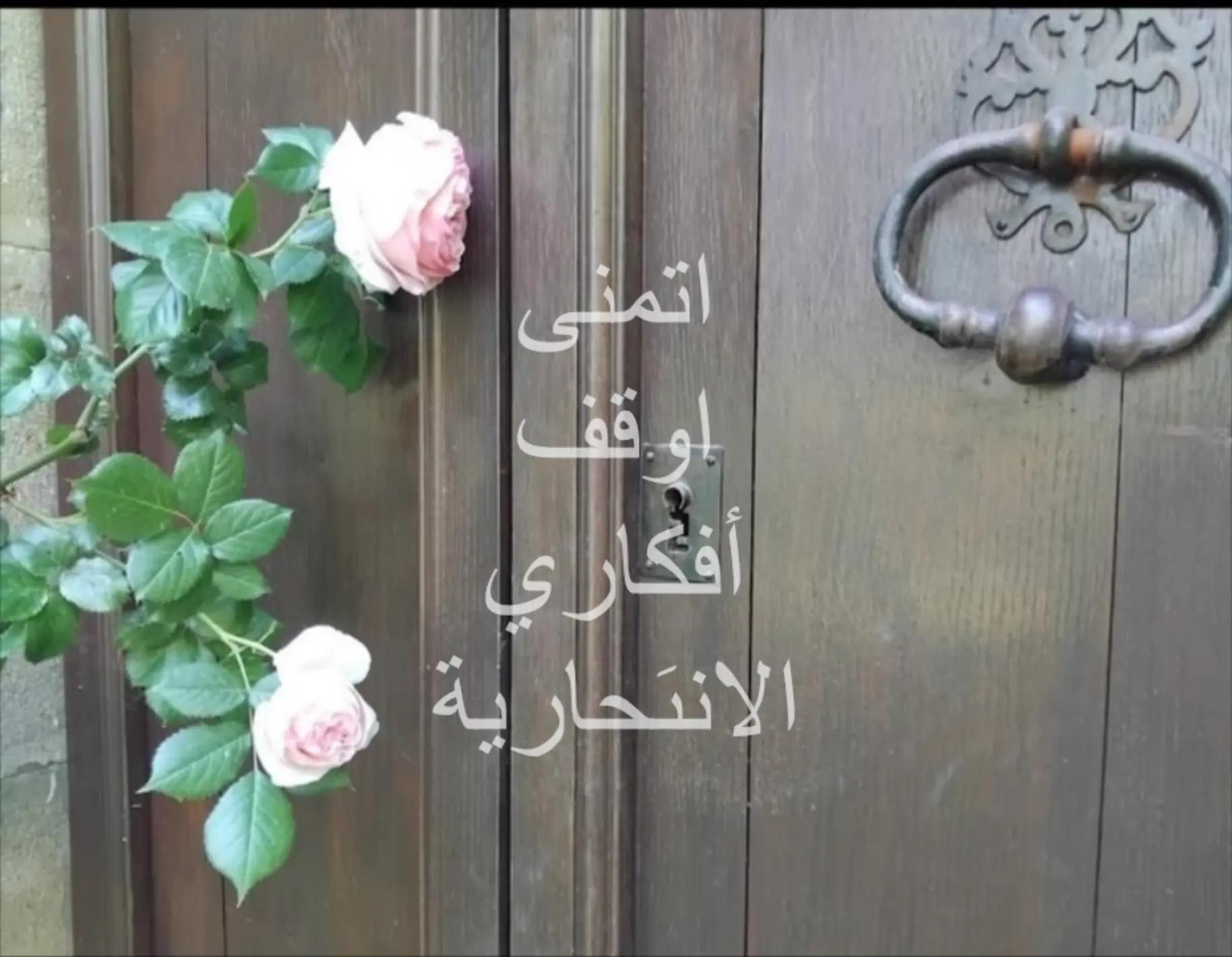 @بنت بغداد مضلومه