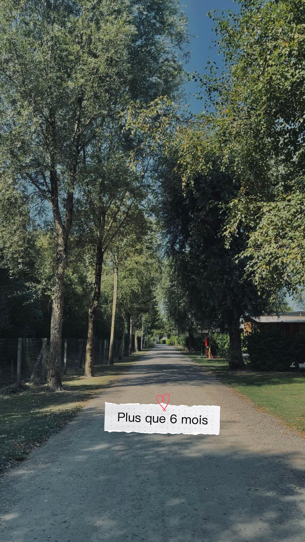 @Clarisse_pws