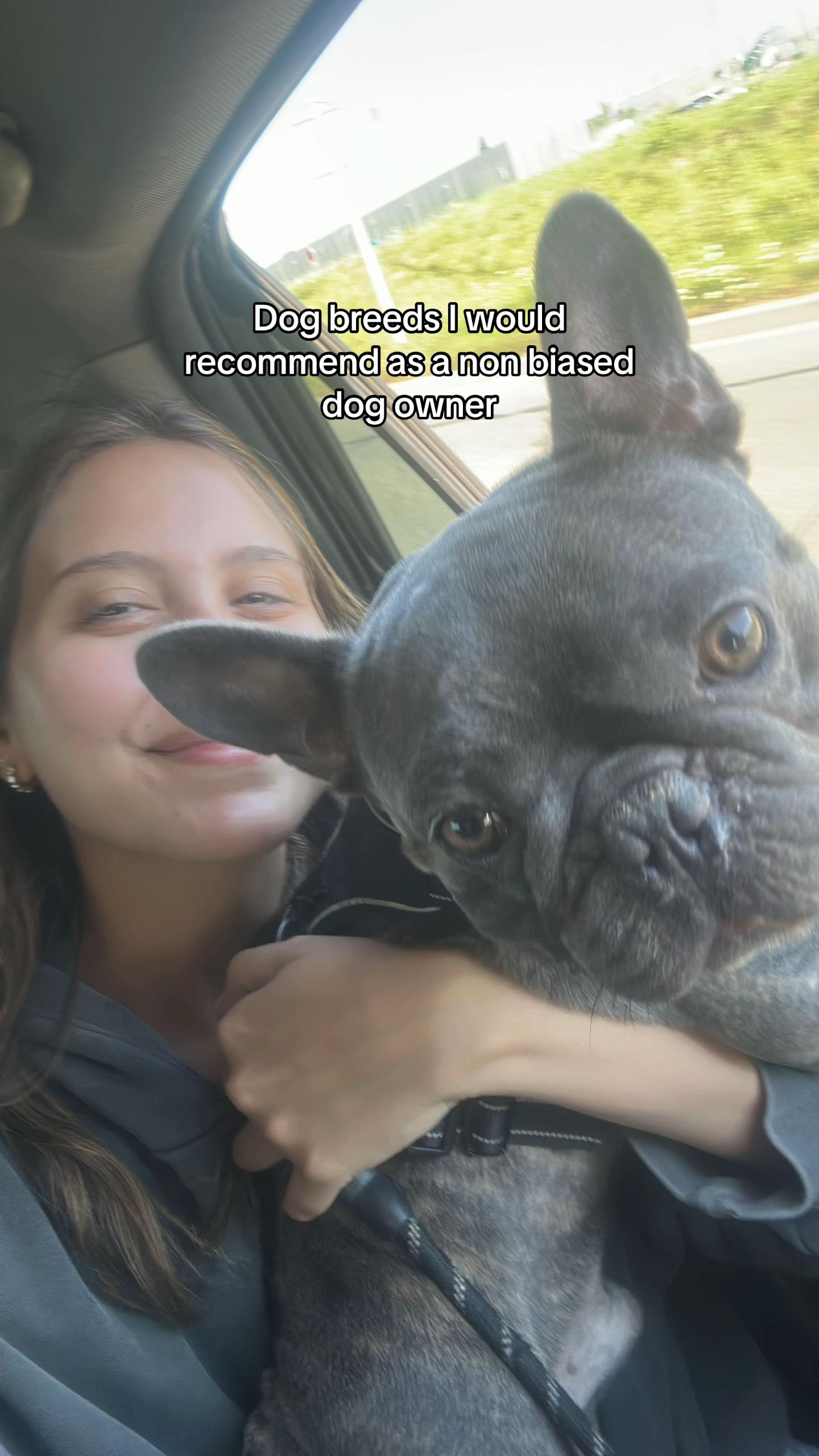 @Bose the frenchie