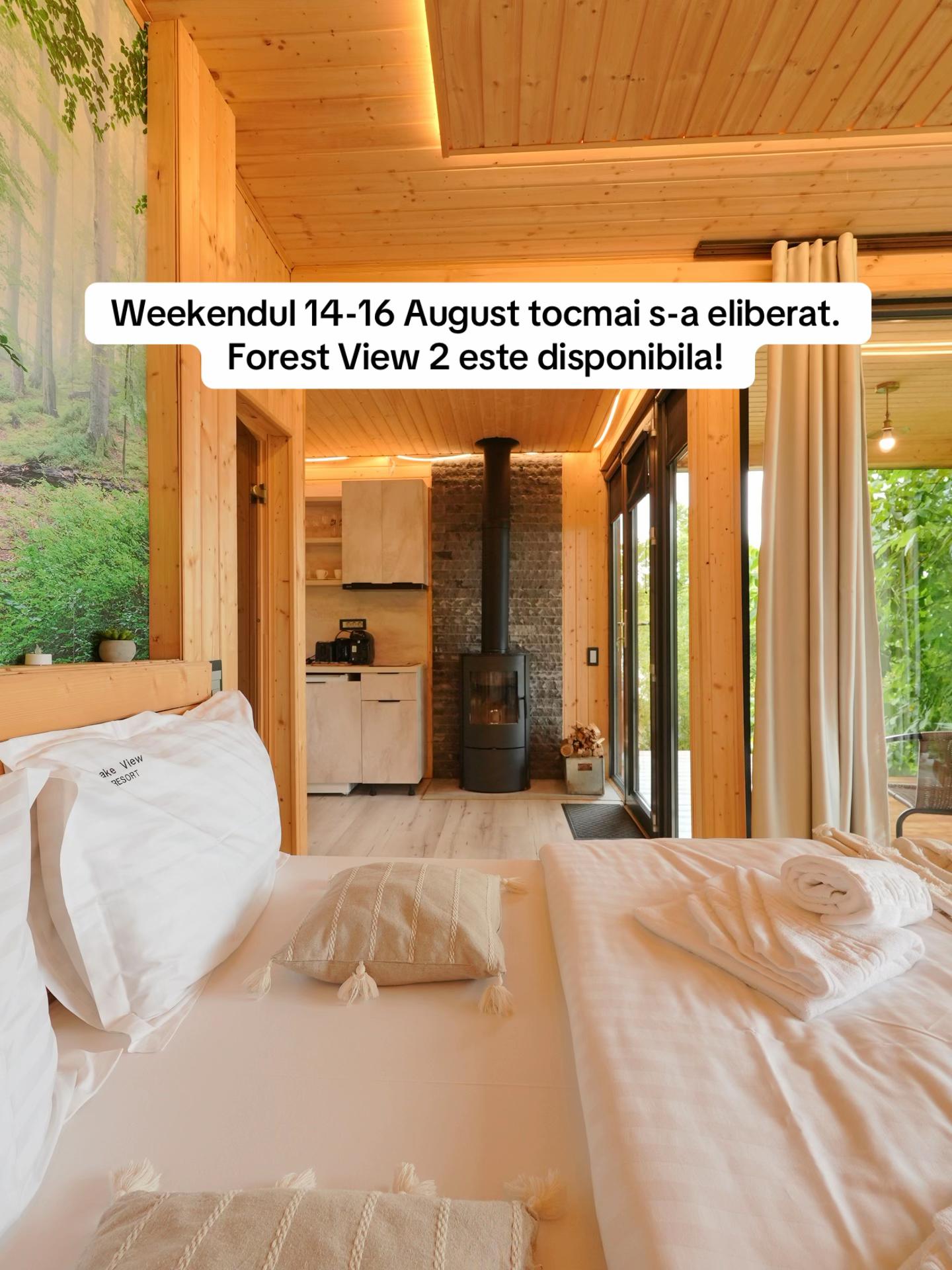 @Forest View Valcea