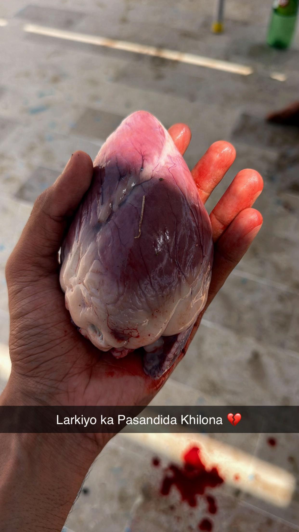 @سر فراز راجپوت 👑