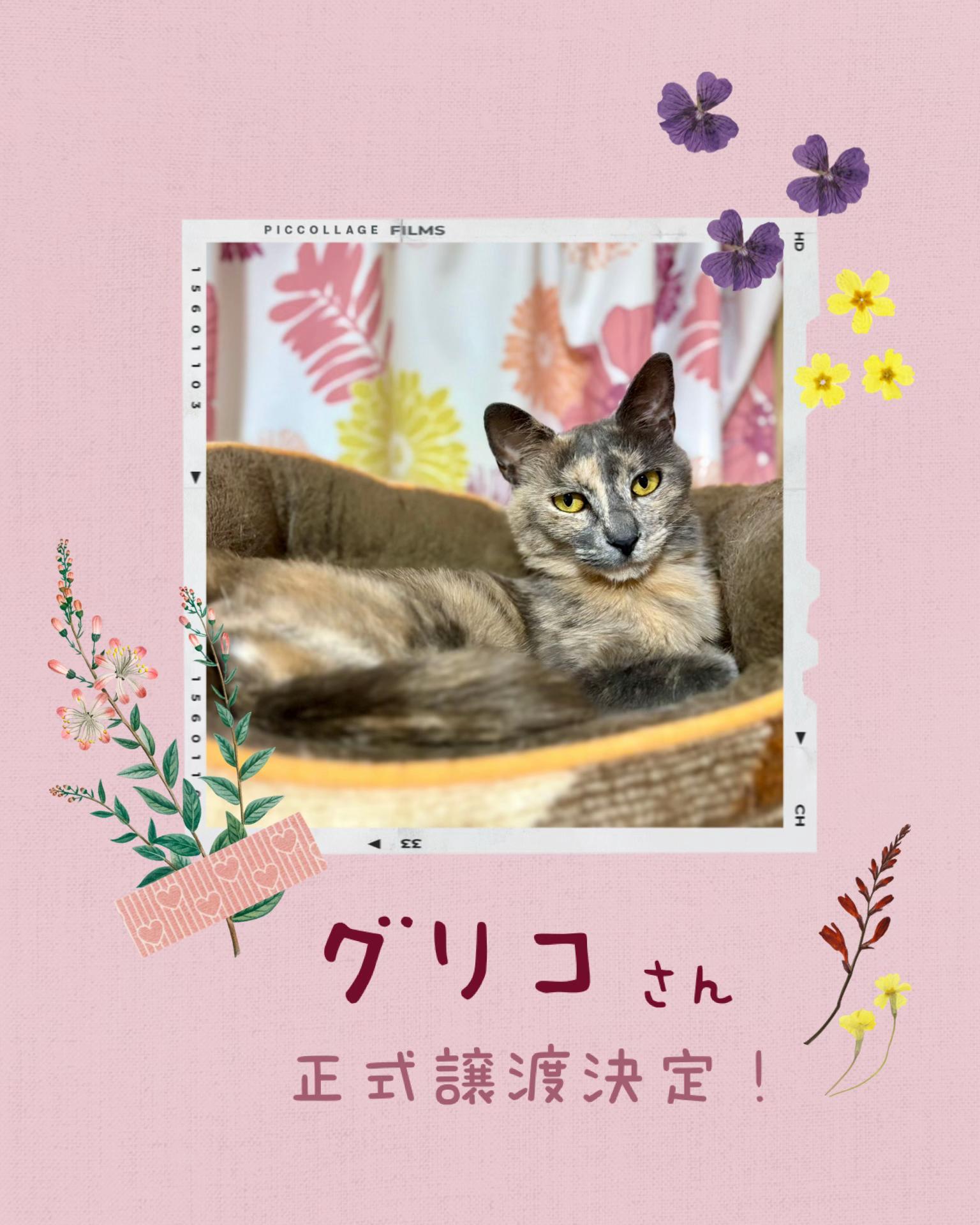 @らっくら家