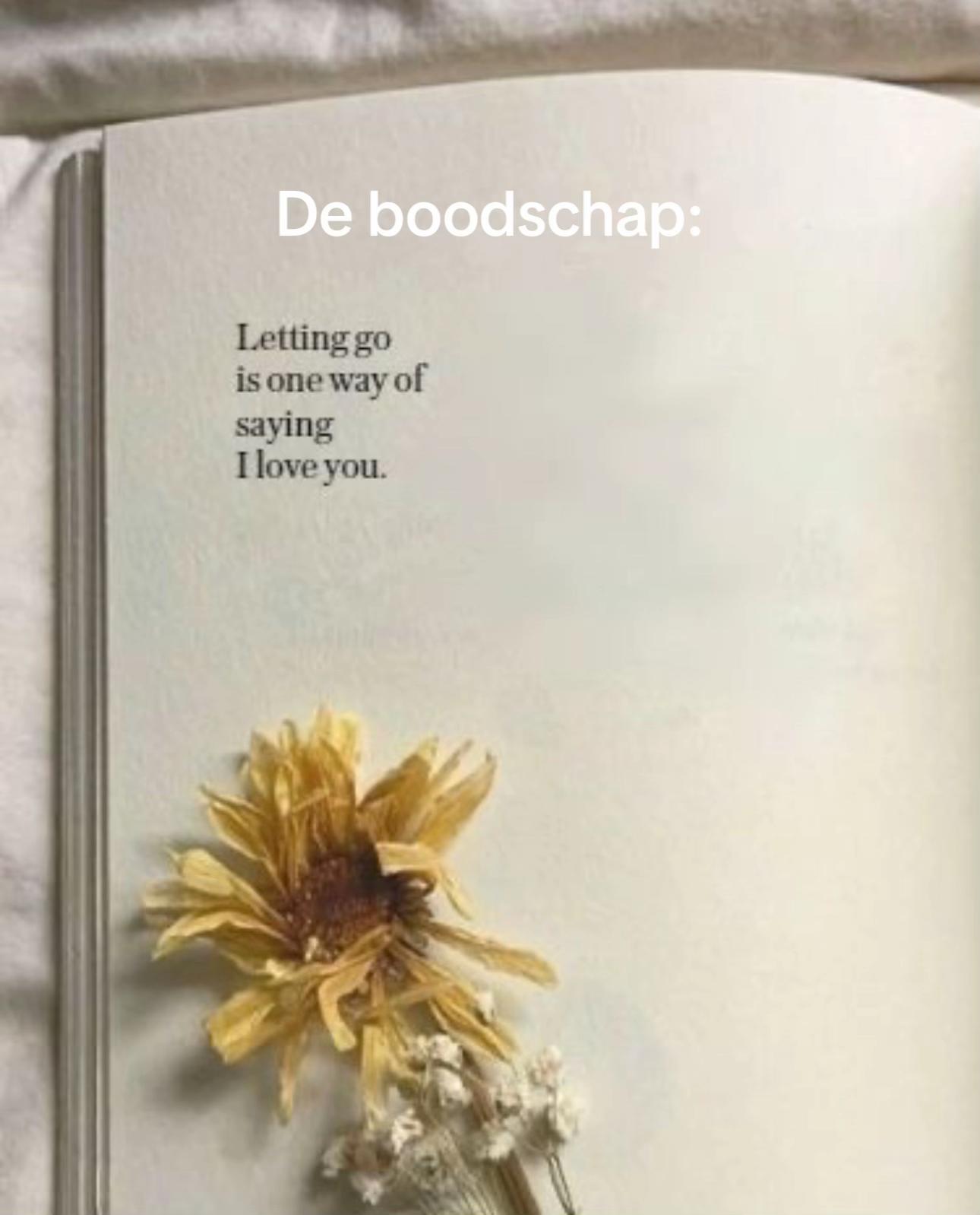 @kayavdbosch