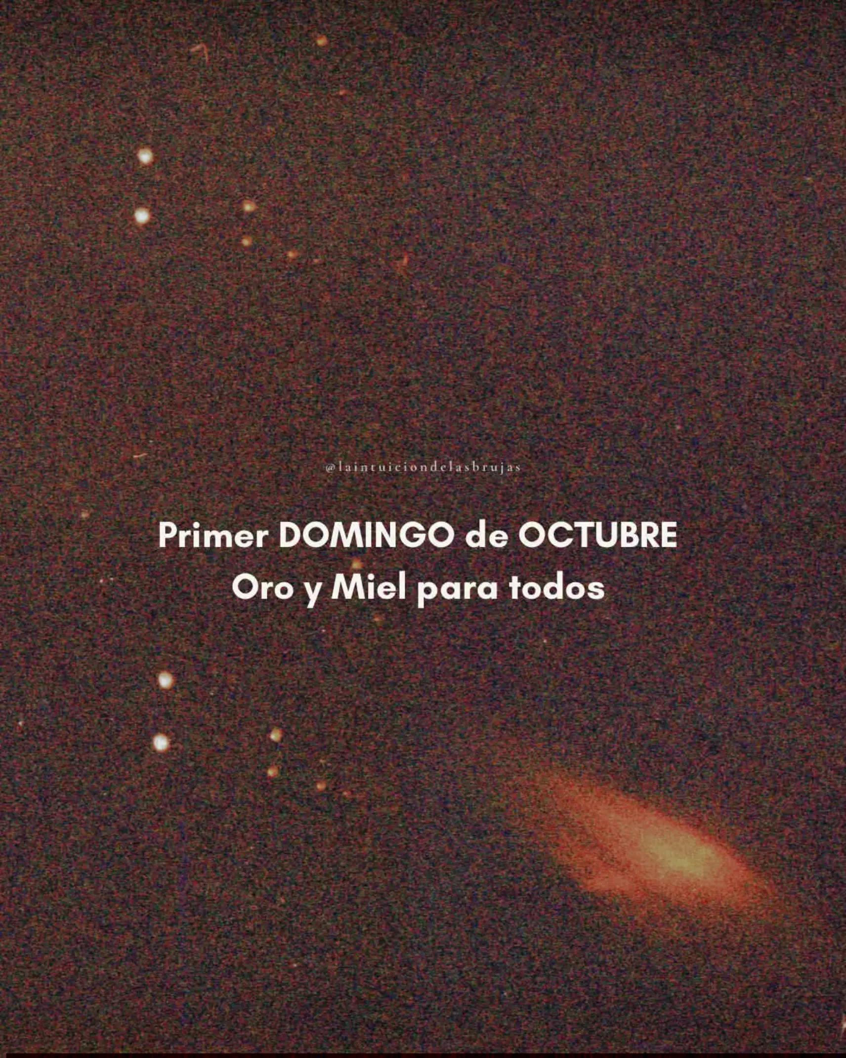 @🌻⚡♌