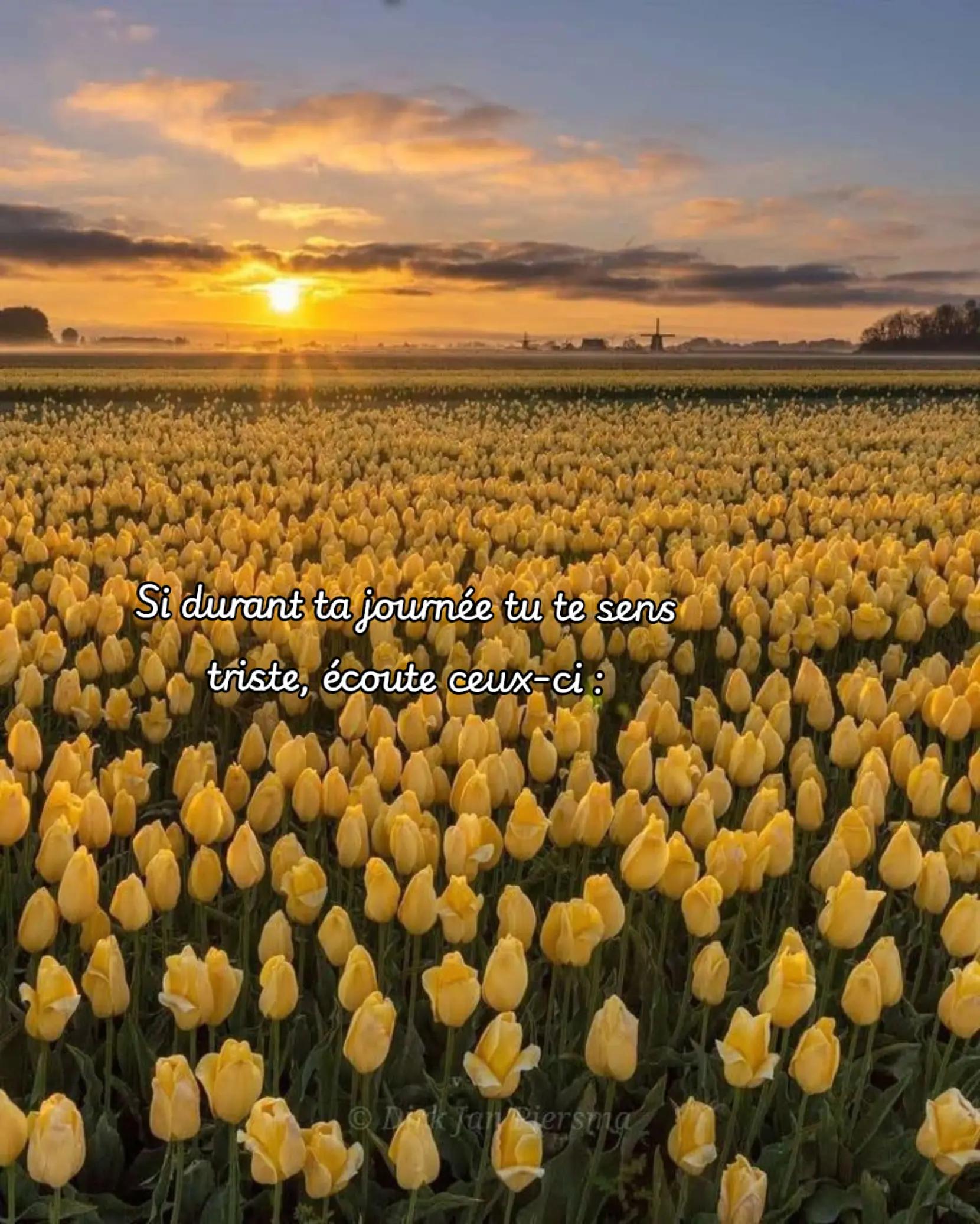 @𝙢𝙮𝙪𝙣𝙞𝙫𝙚𝙧𝙨𝙤𝙣𝙡𝙞𝙣𝙚