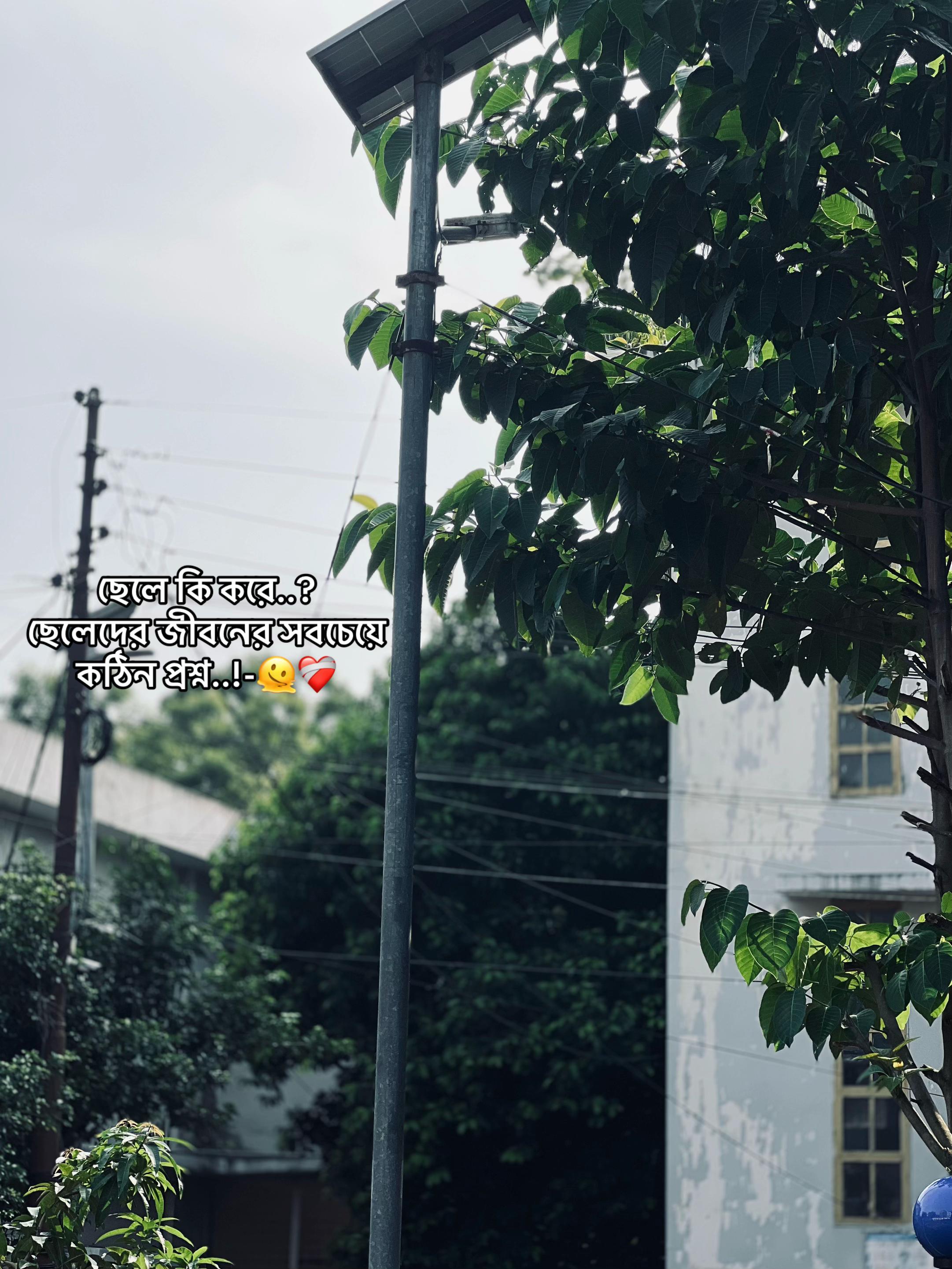 @♪~Ꭰꫝɪᴍᴏɴᴅ_