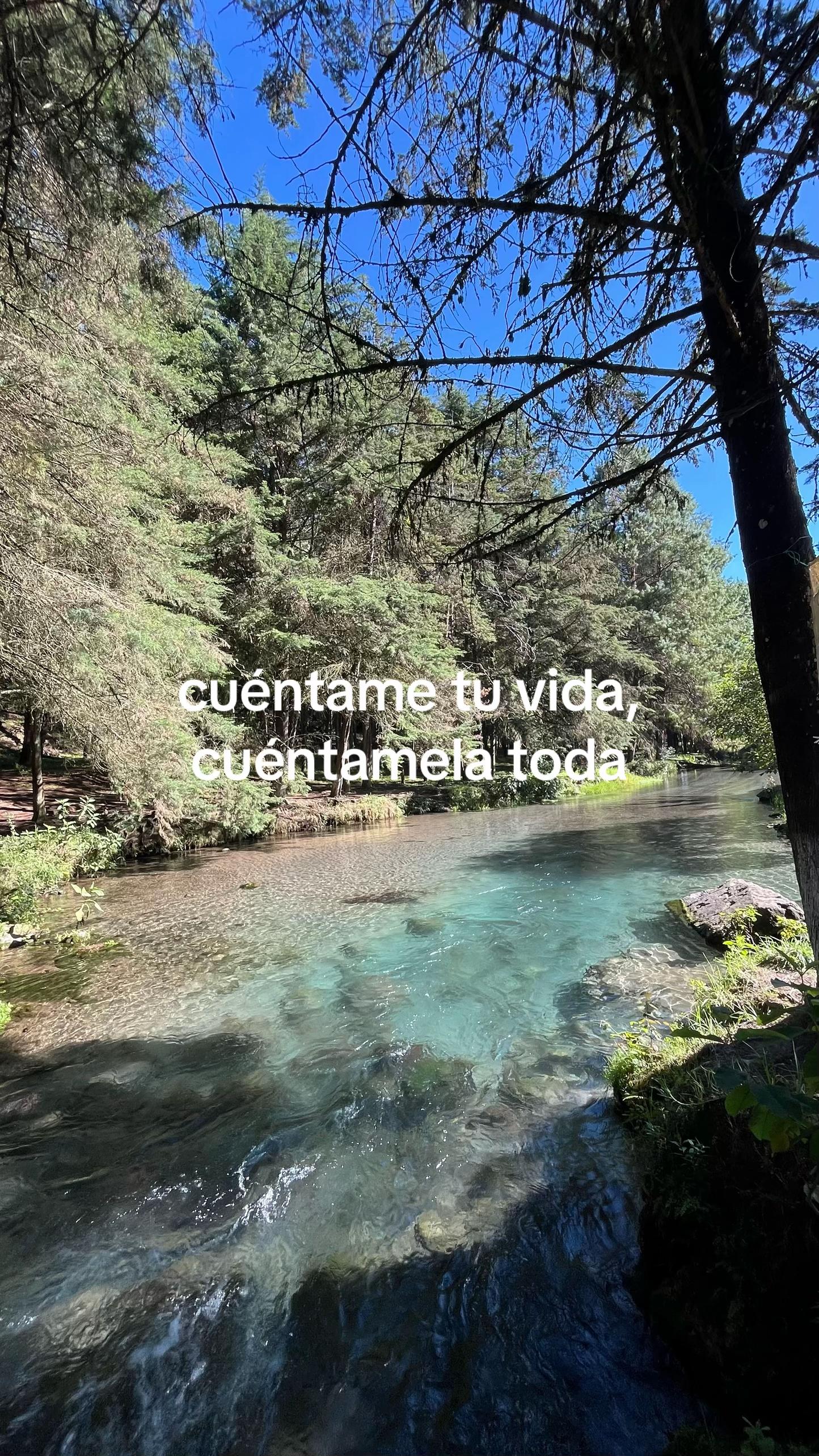 @suarezillo.mx