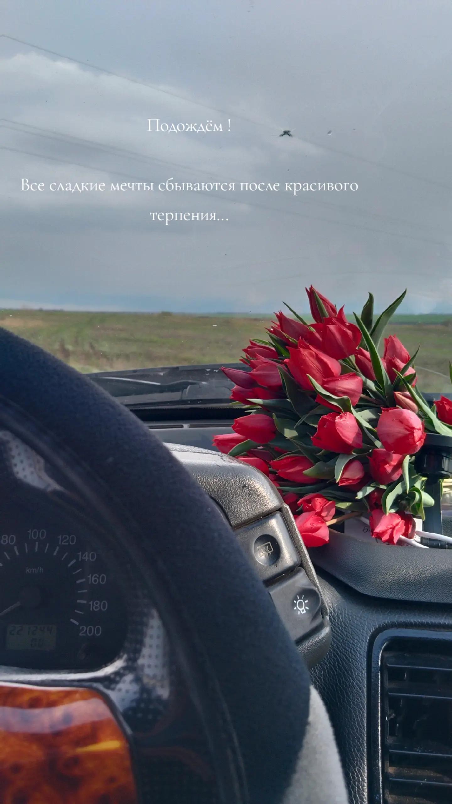 @Ксения Малиновская