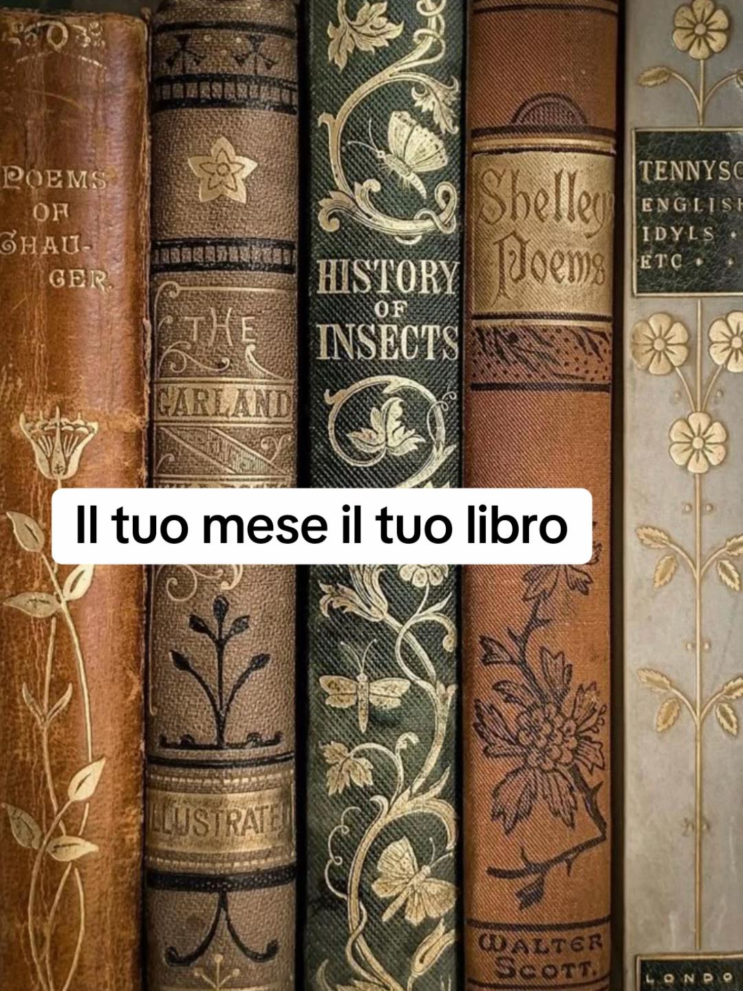@Cose a caso
