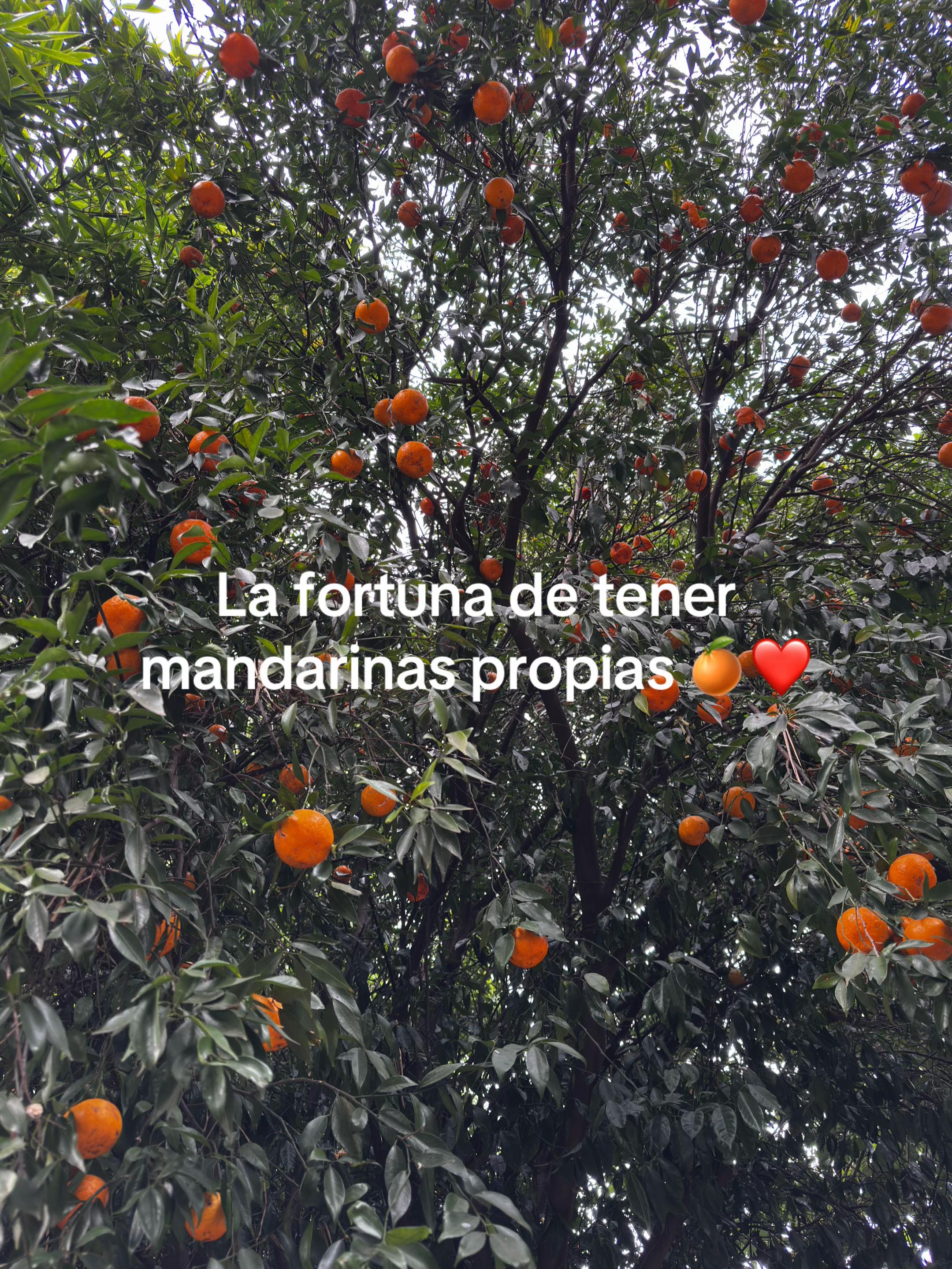 @Lourdes Parsons 