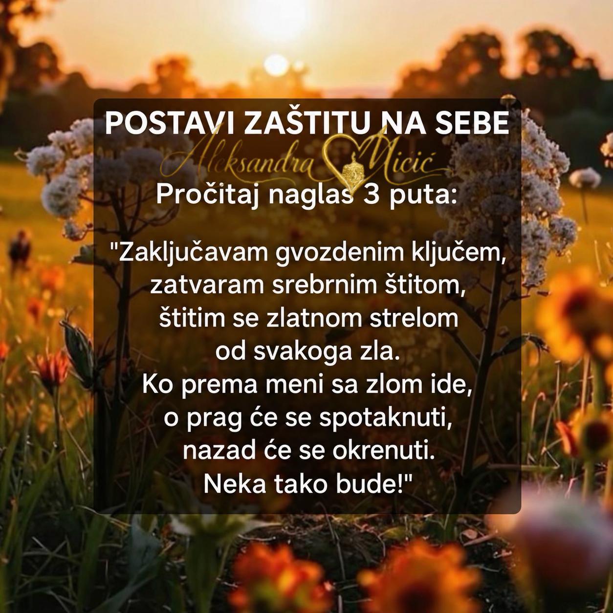 @Aleksandra Micic