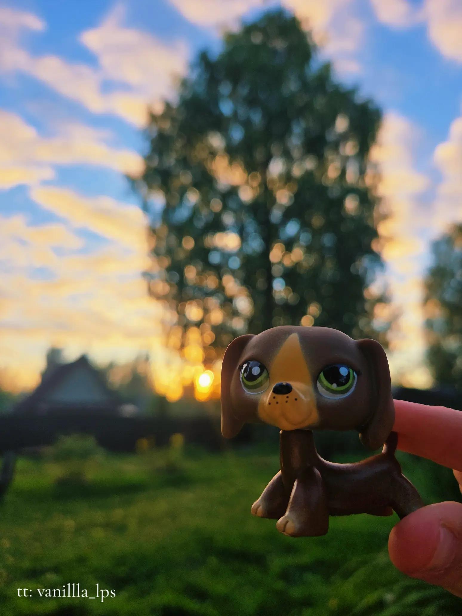 @𝚅𝚊𝚗𝚒𝚕𝚕𝚊_𝚕𝚙𝚜🍂