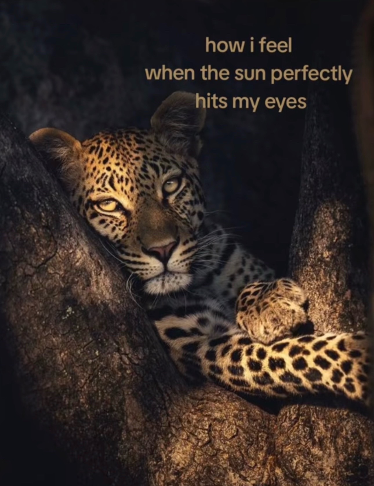 @ms. 5⭐️