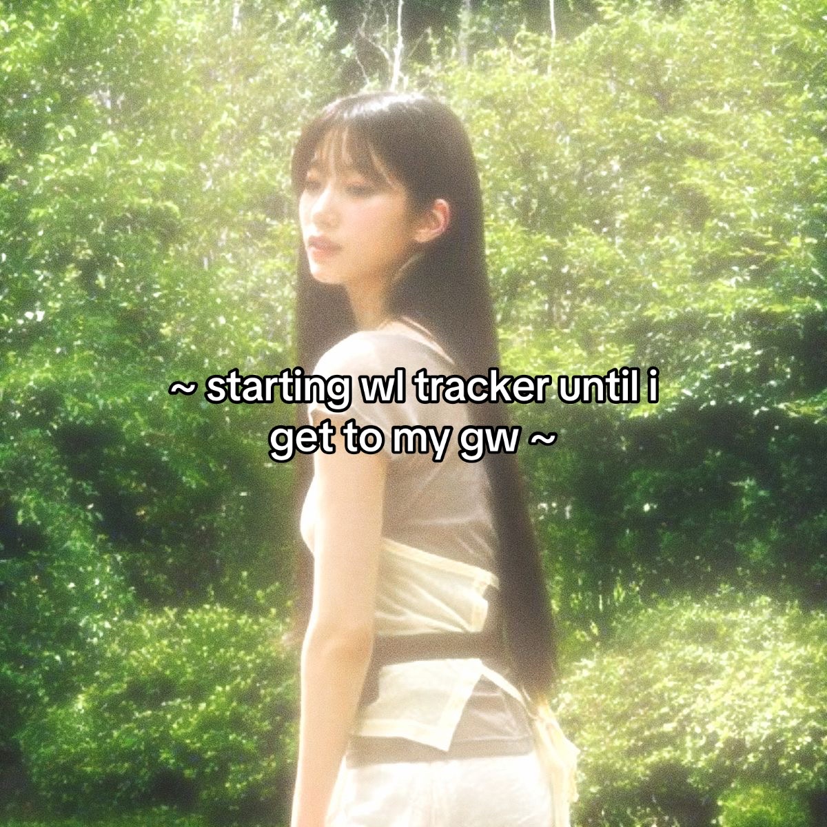 @fairy