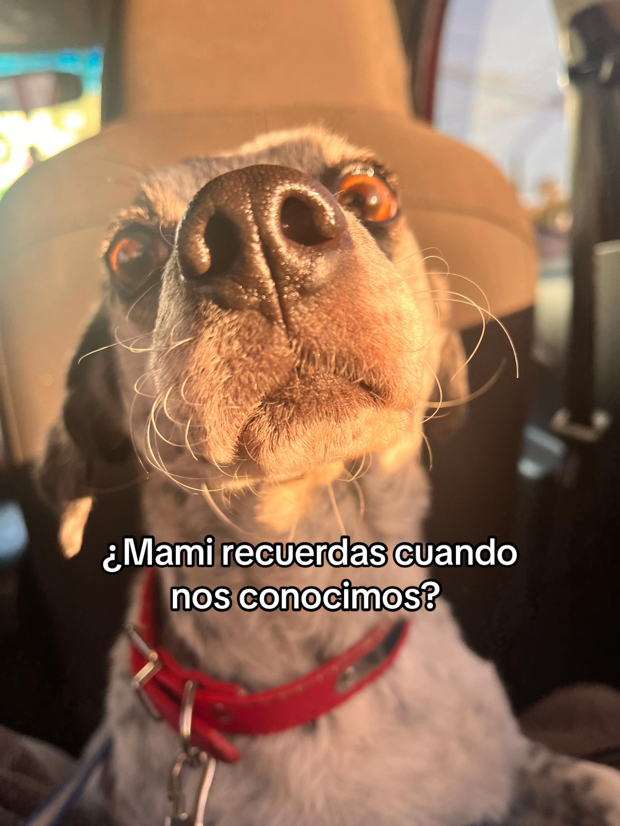 @K a r i