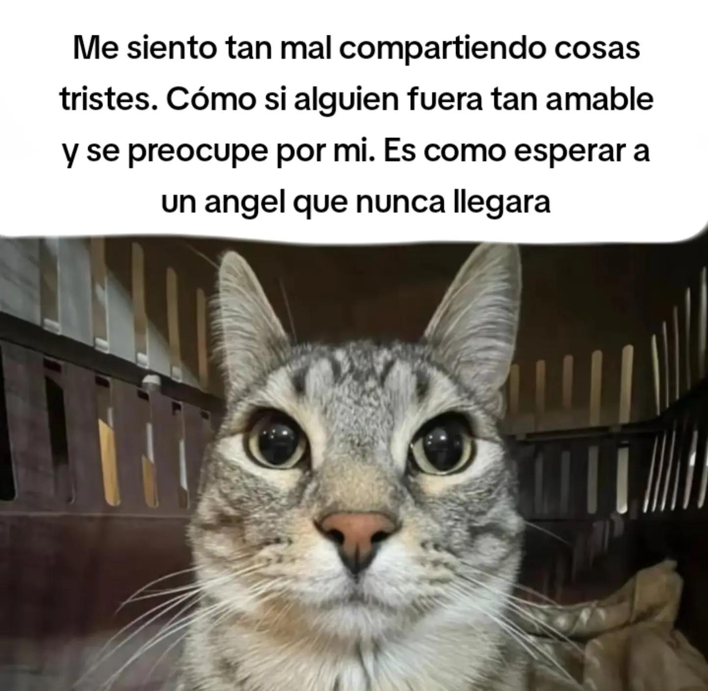 @Alexis - Kun🦇