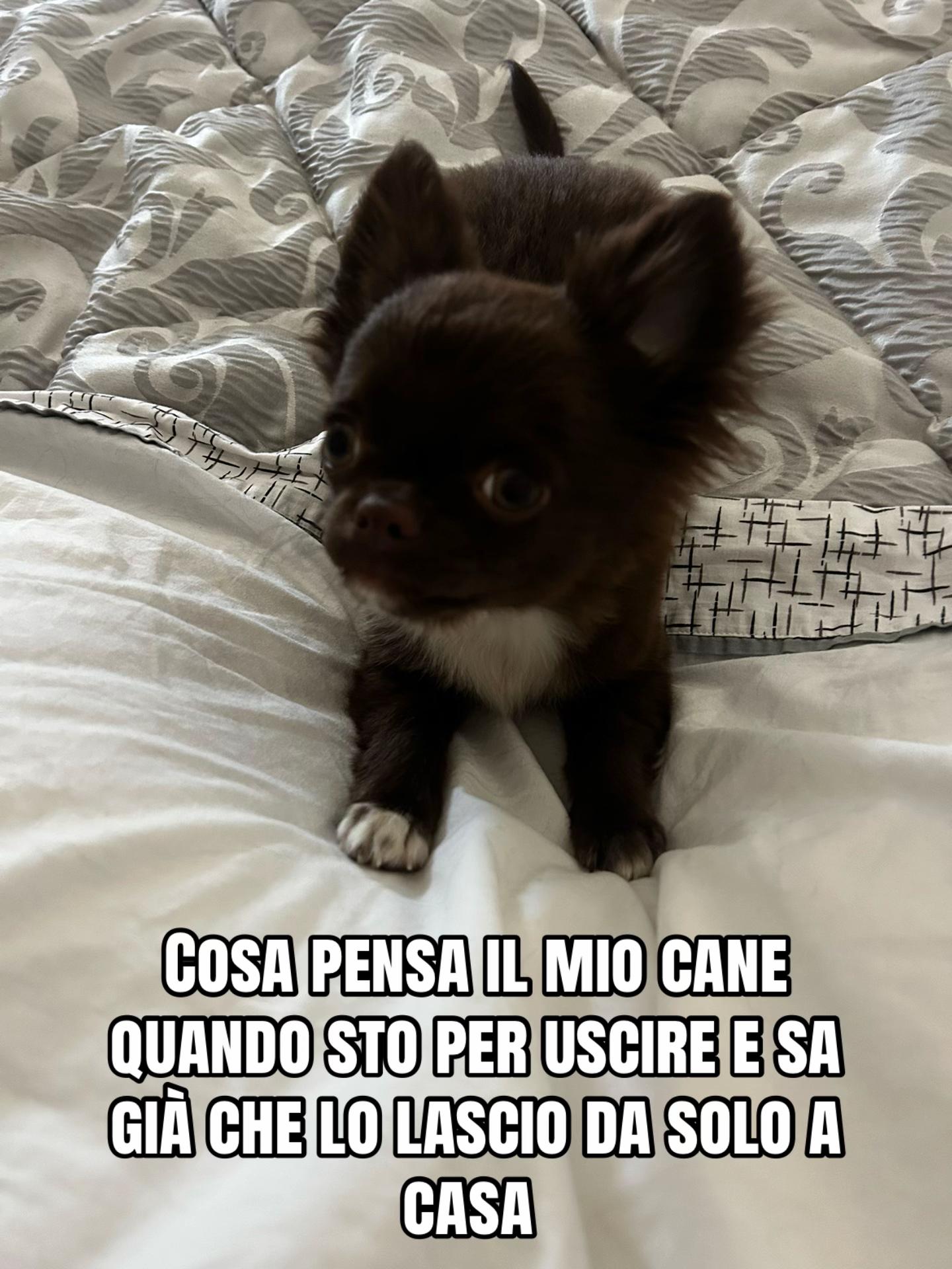@mari_savo