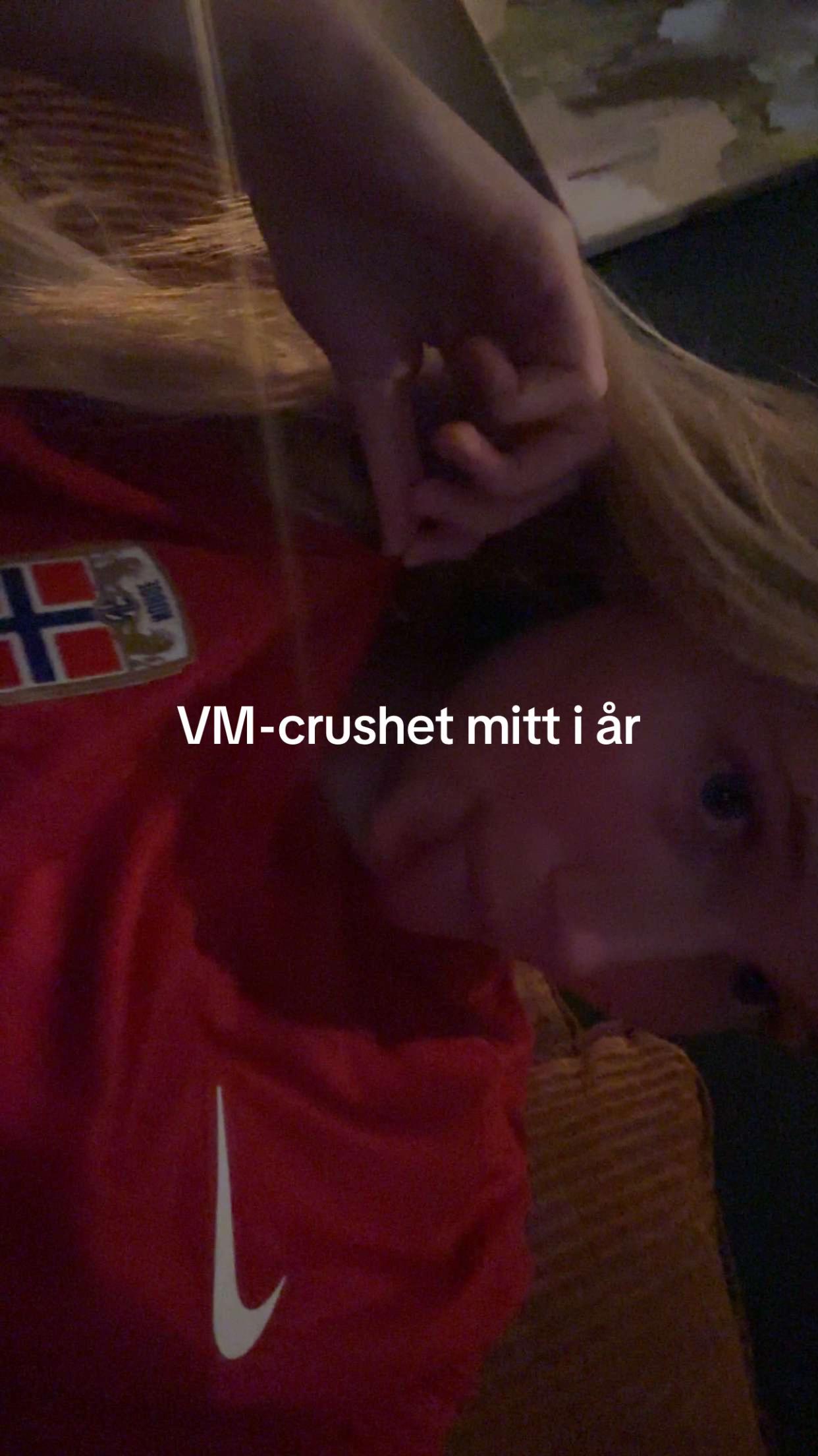 @norabjorndal