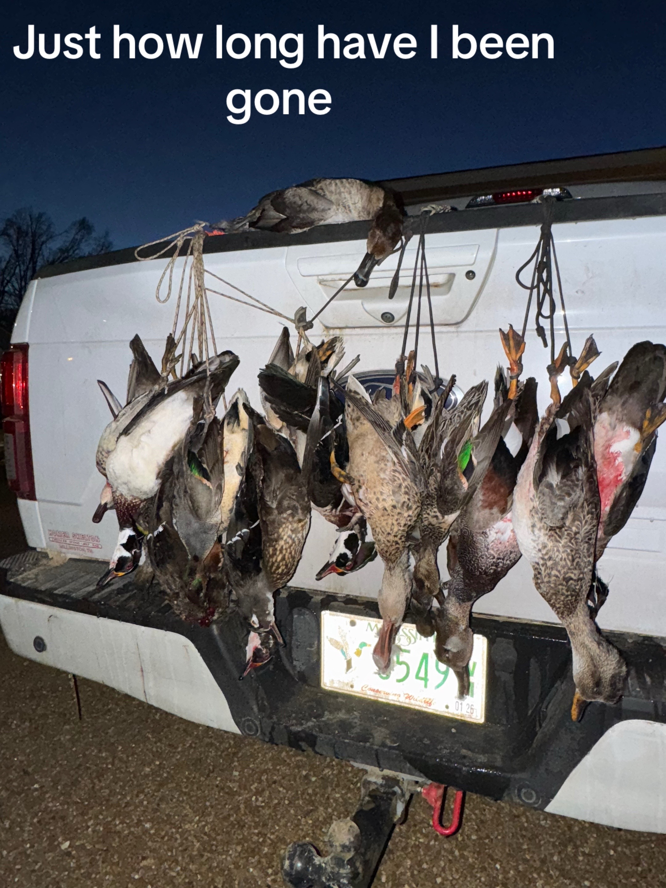@wyatthodges