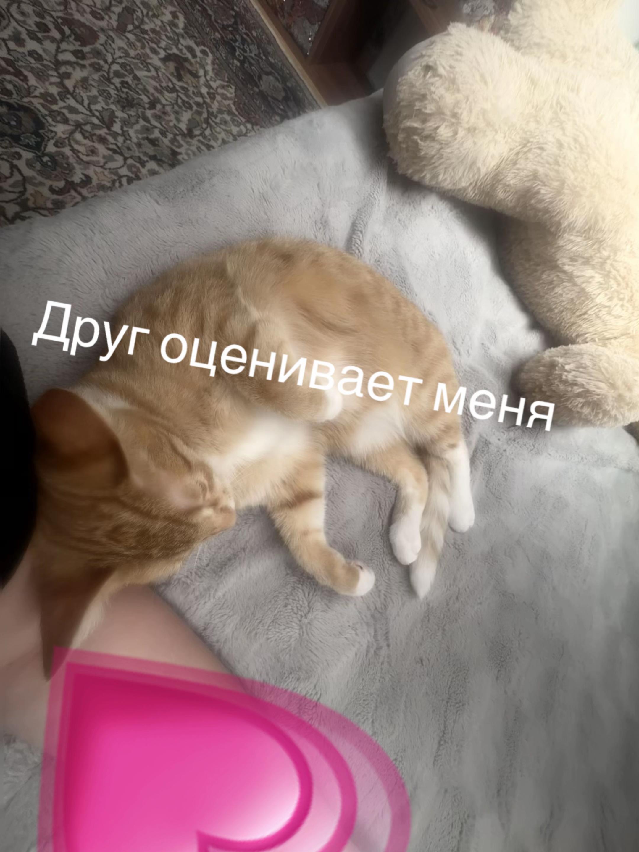 @Ksuwa_🇩🇪🇺🇦