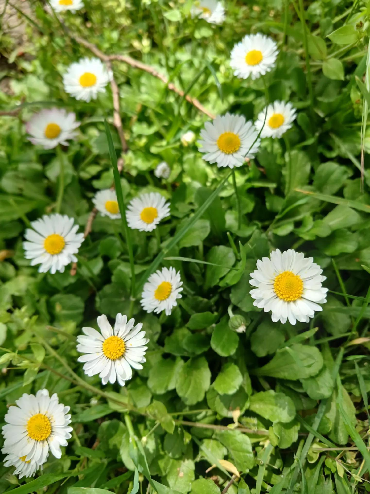 @Hanife Yakut