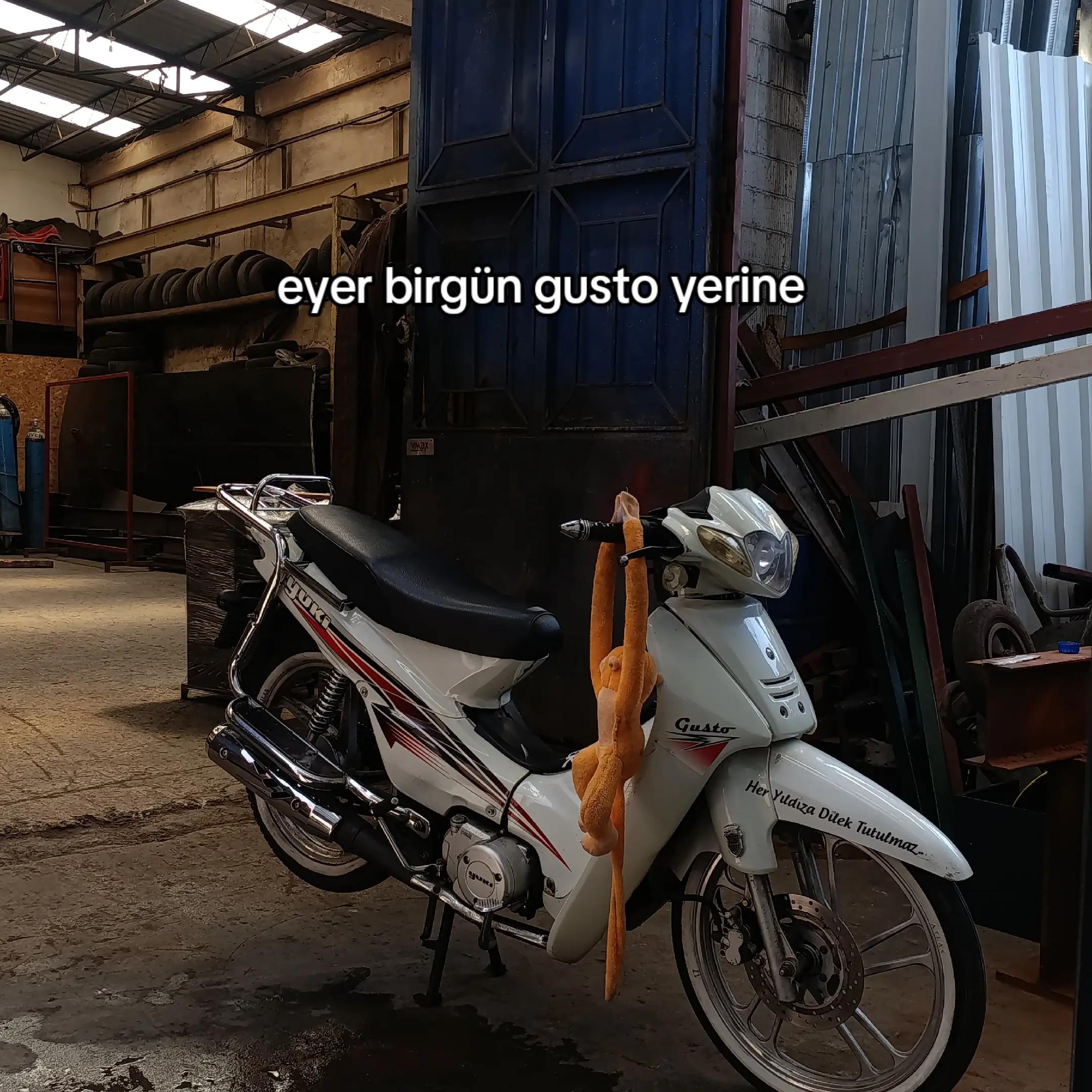 @Haydar uzun✍️