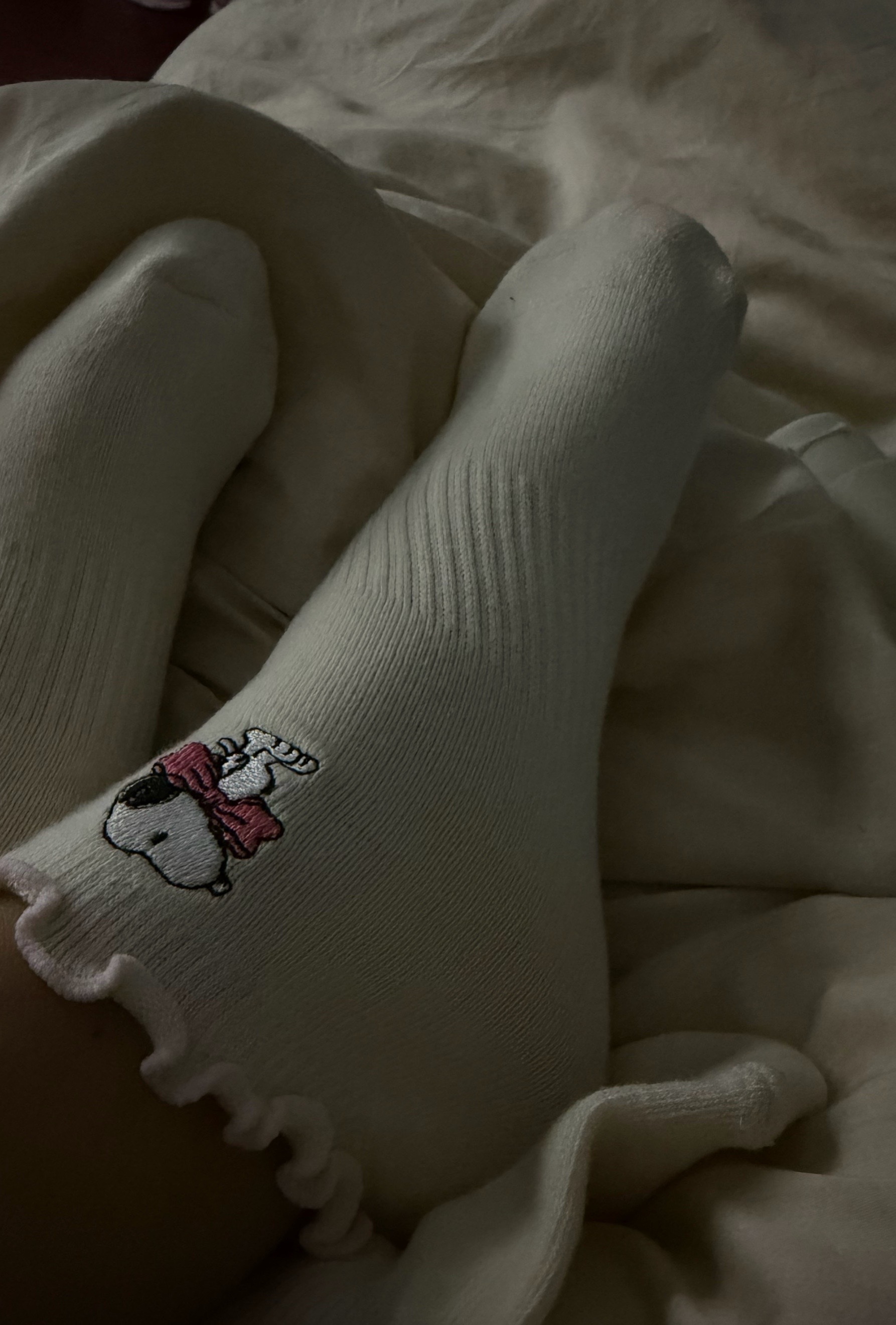 @Liz ˚˖𓍢ִ໋❀