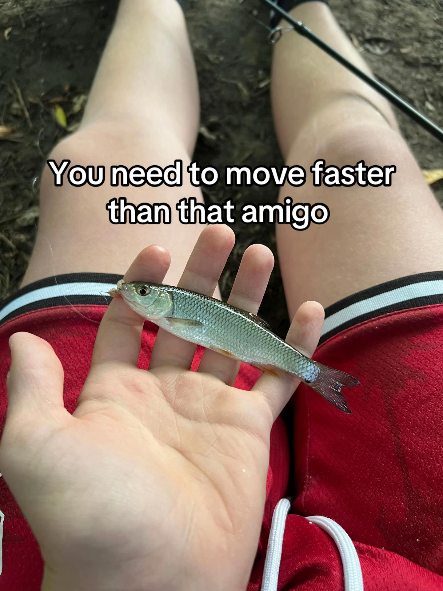 @🎣Mikey🎣
