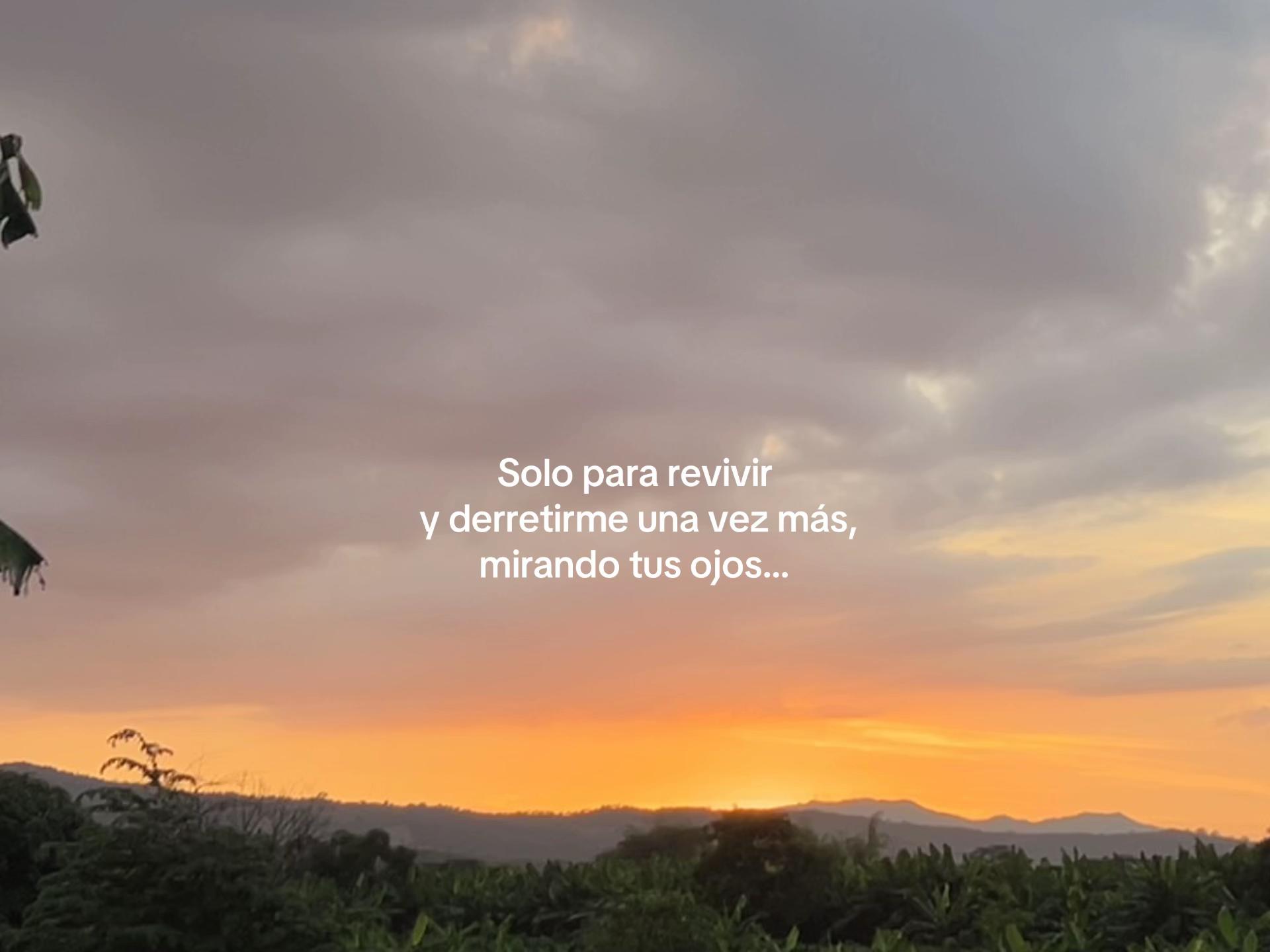 @Ambar Moreira🦖