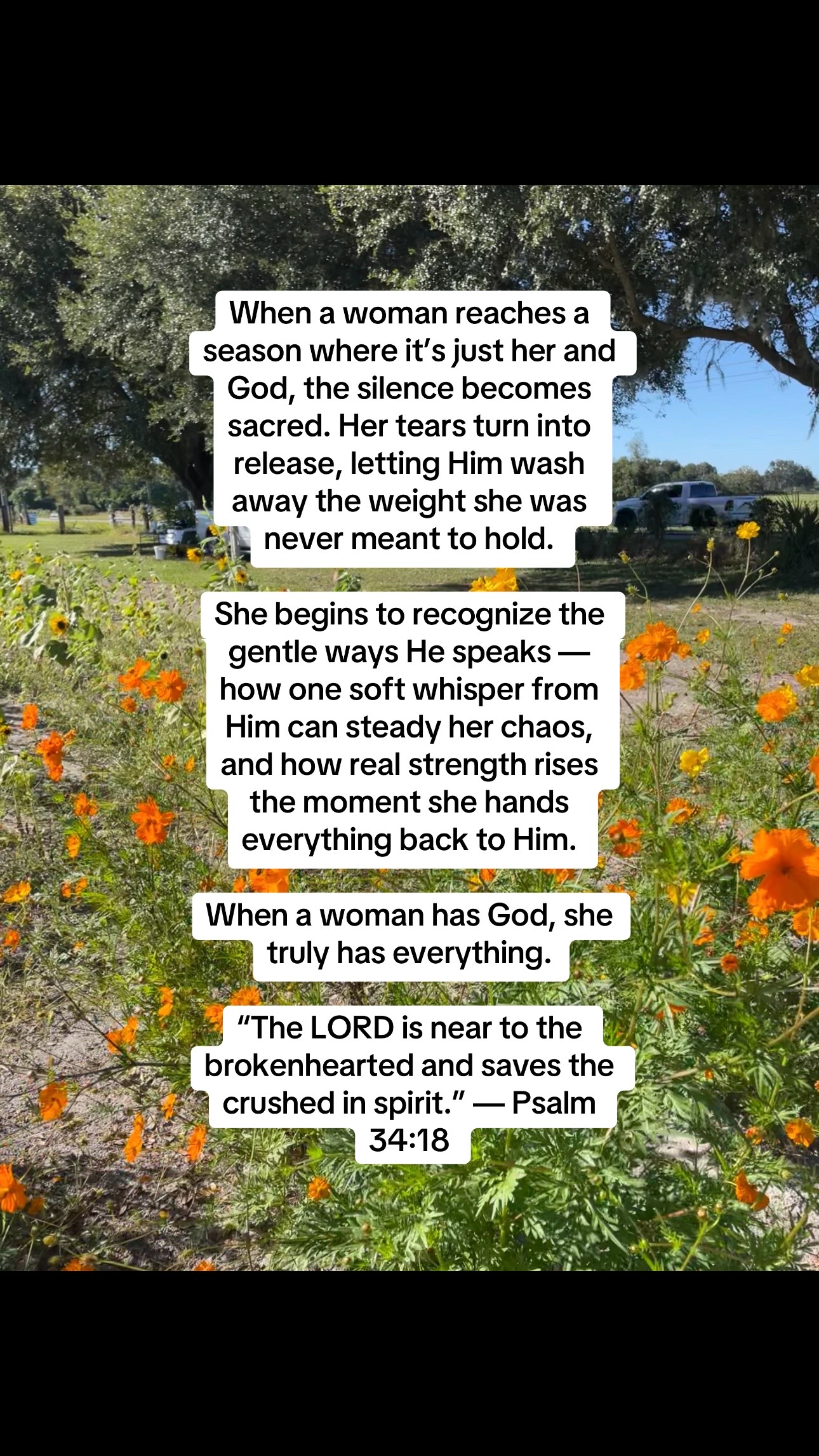 @BootsBubbles&PixieDust- Hailey