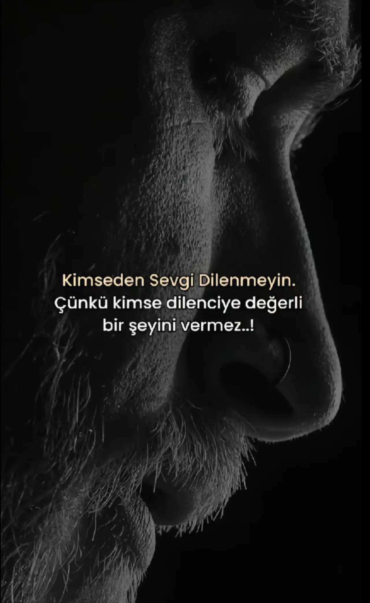 @SİZ SONUNA BAKIN