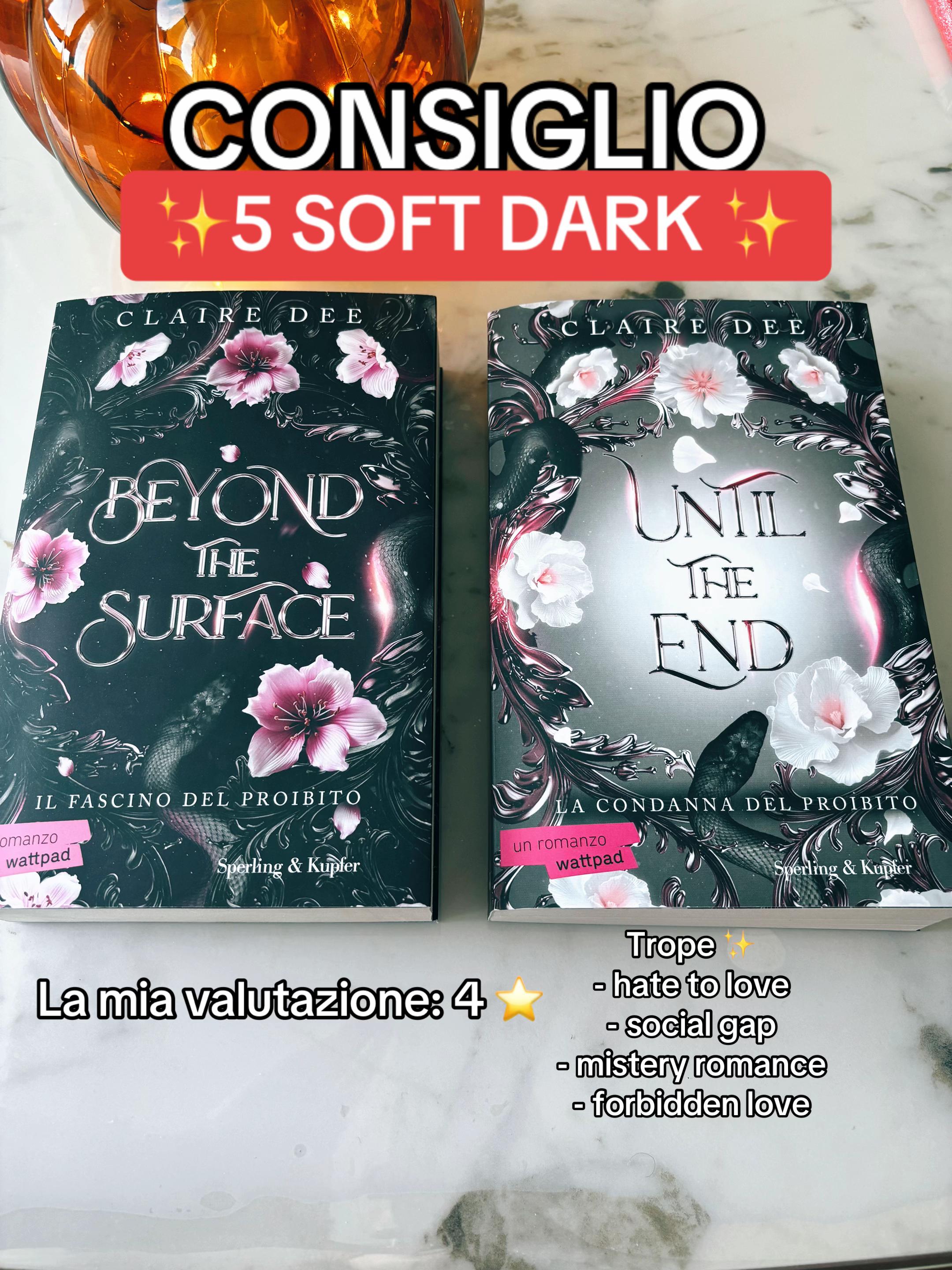 @𝑳𝒊𝒔𝒂 🌸 | Booktok 📚🤎