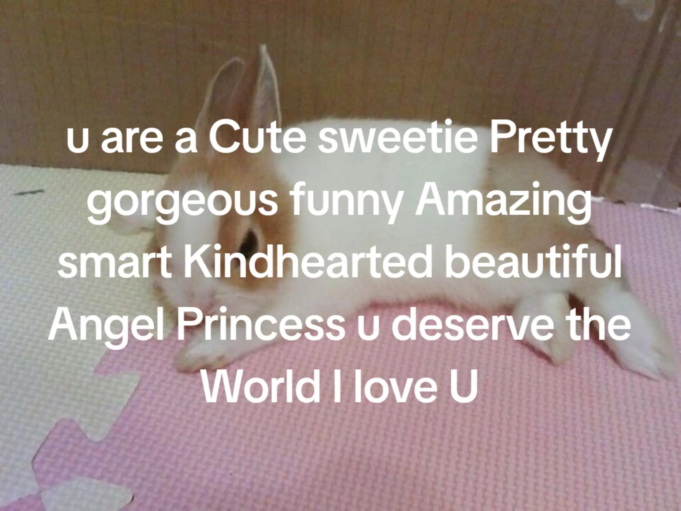 @bunny