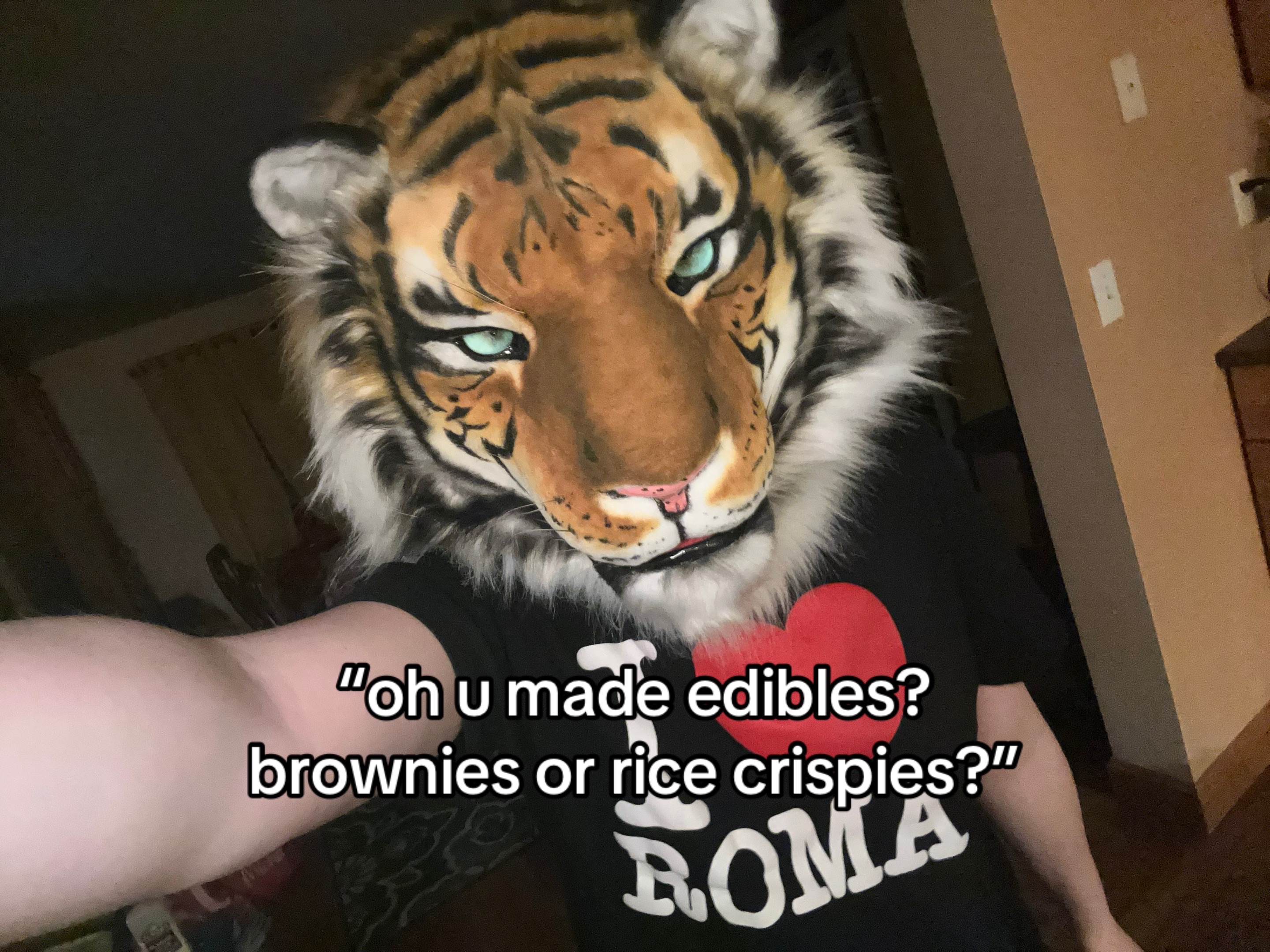 @fierce the tiger
